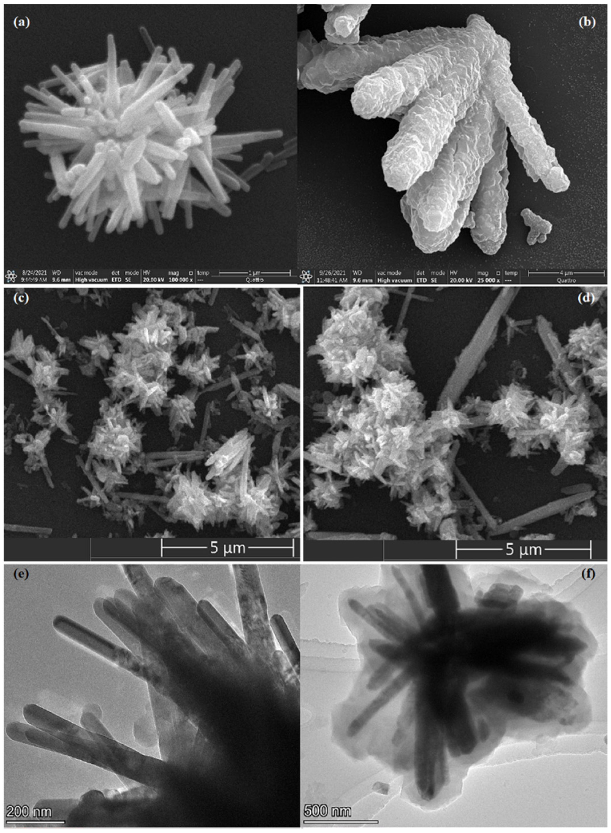 Chemosensors 10 00297 g003