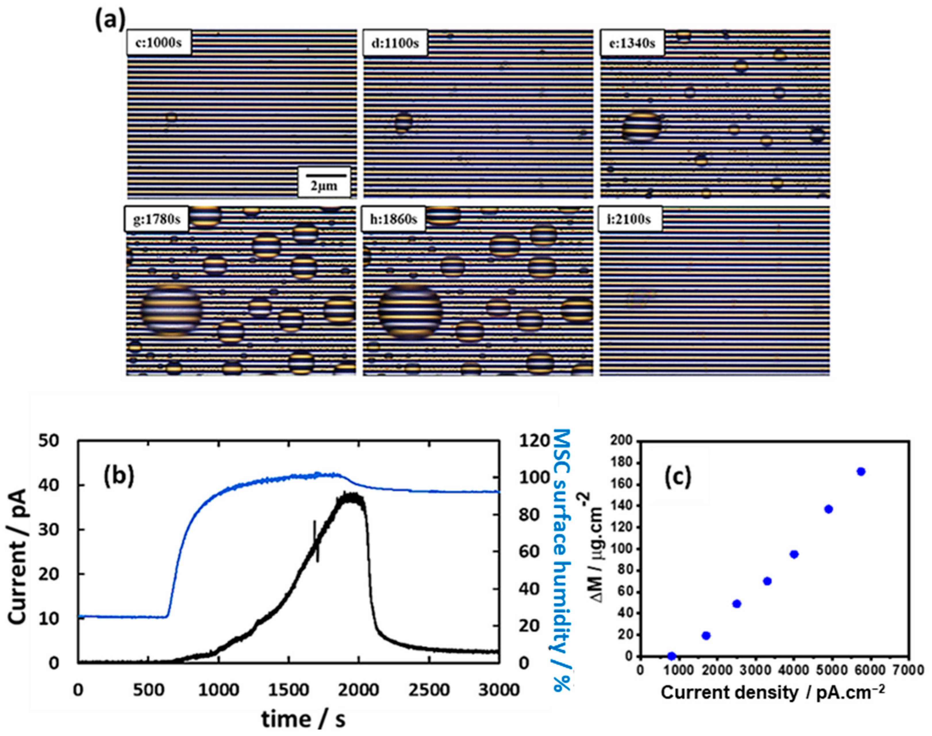 Chemosensors 10 00300 g004