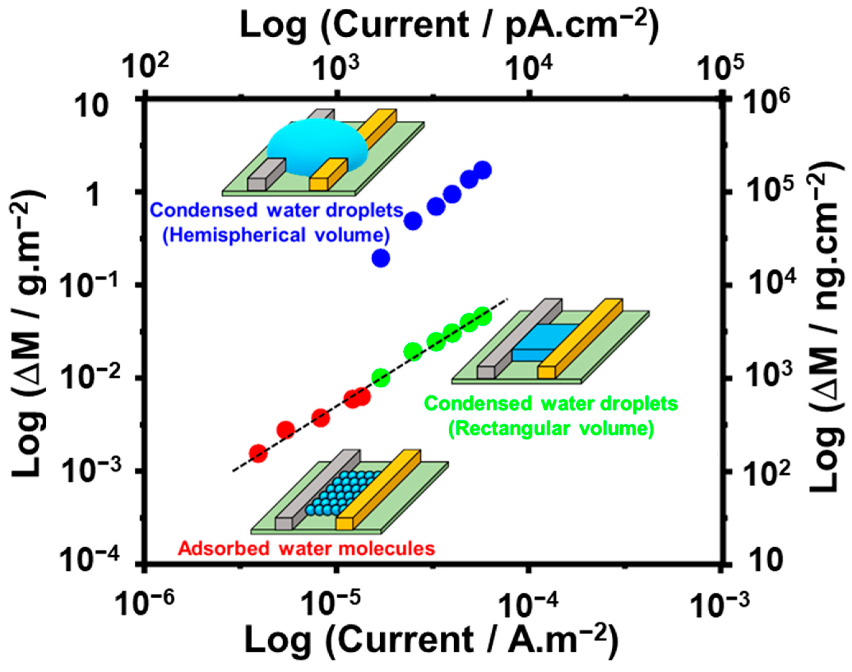 Chemosensors 10 00300 g005