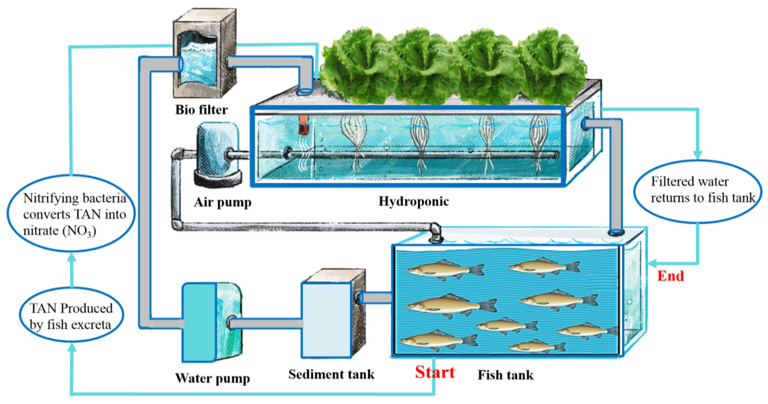 LED Alarm Lamp for Aquaculture - Senect Aquaculture Technology