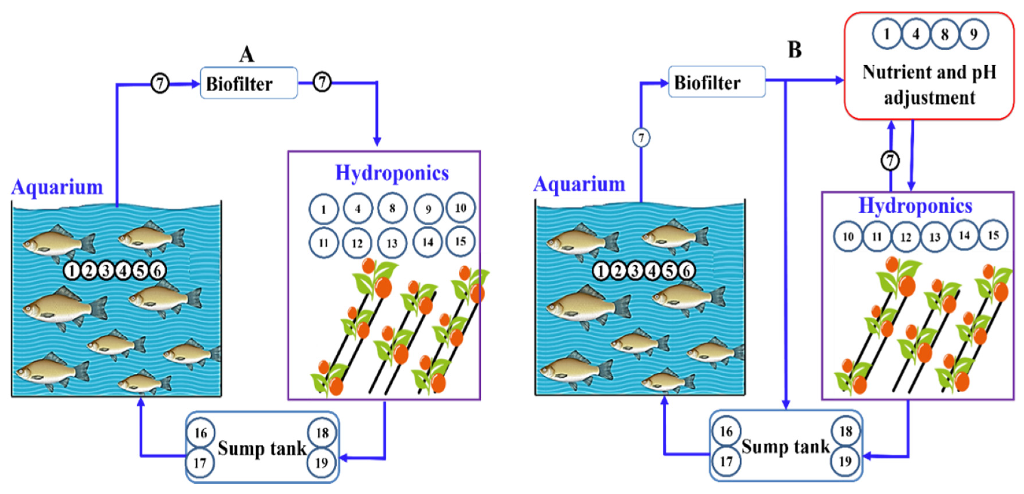 Chemosensors 10 00303 g004