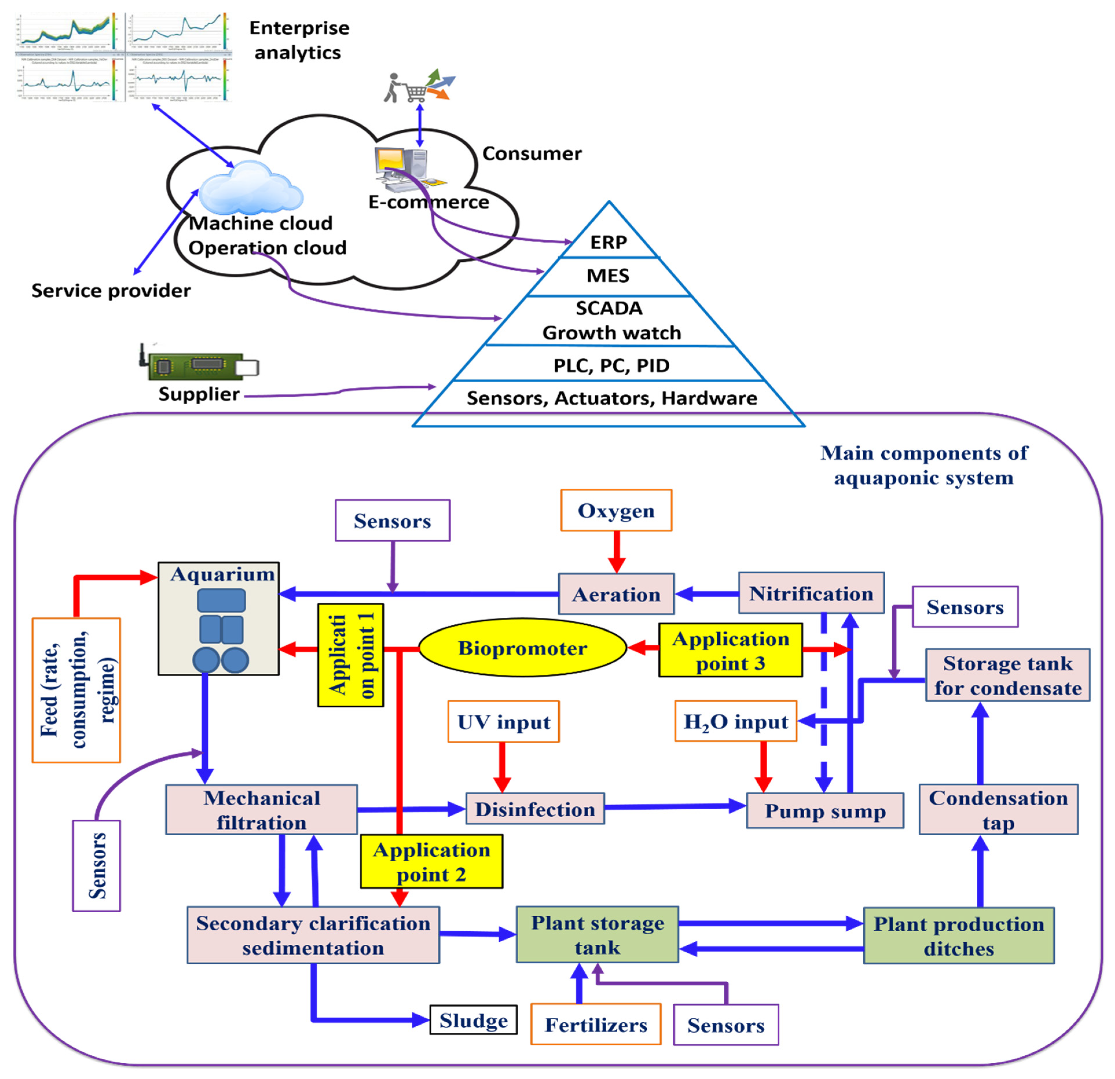 Chemosensors 10 00303 g010