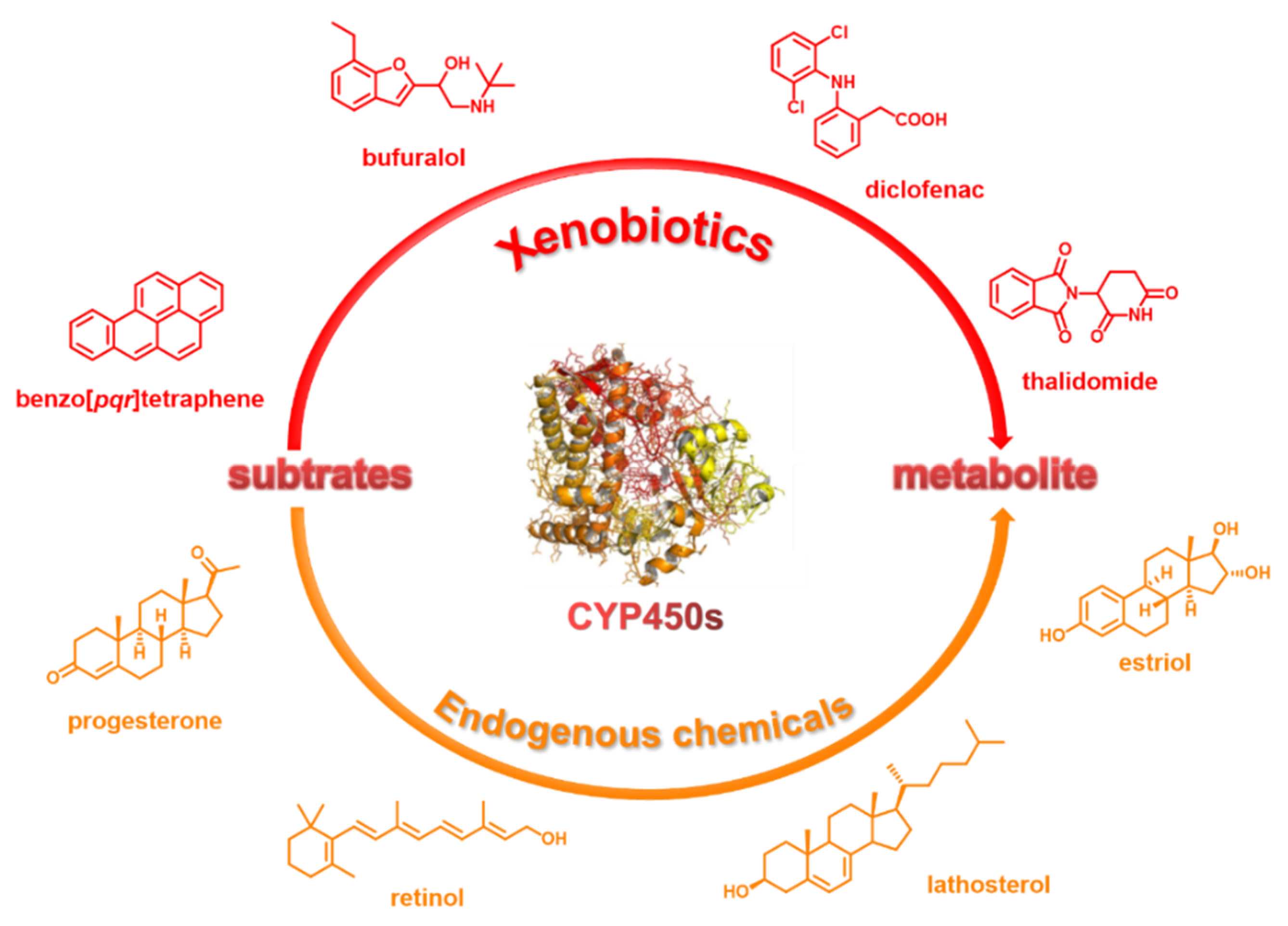 Chemosensors 10 00304 g001