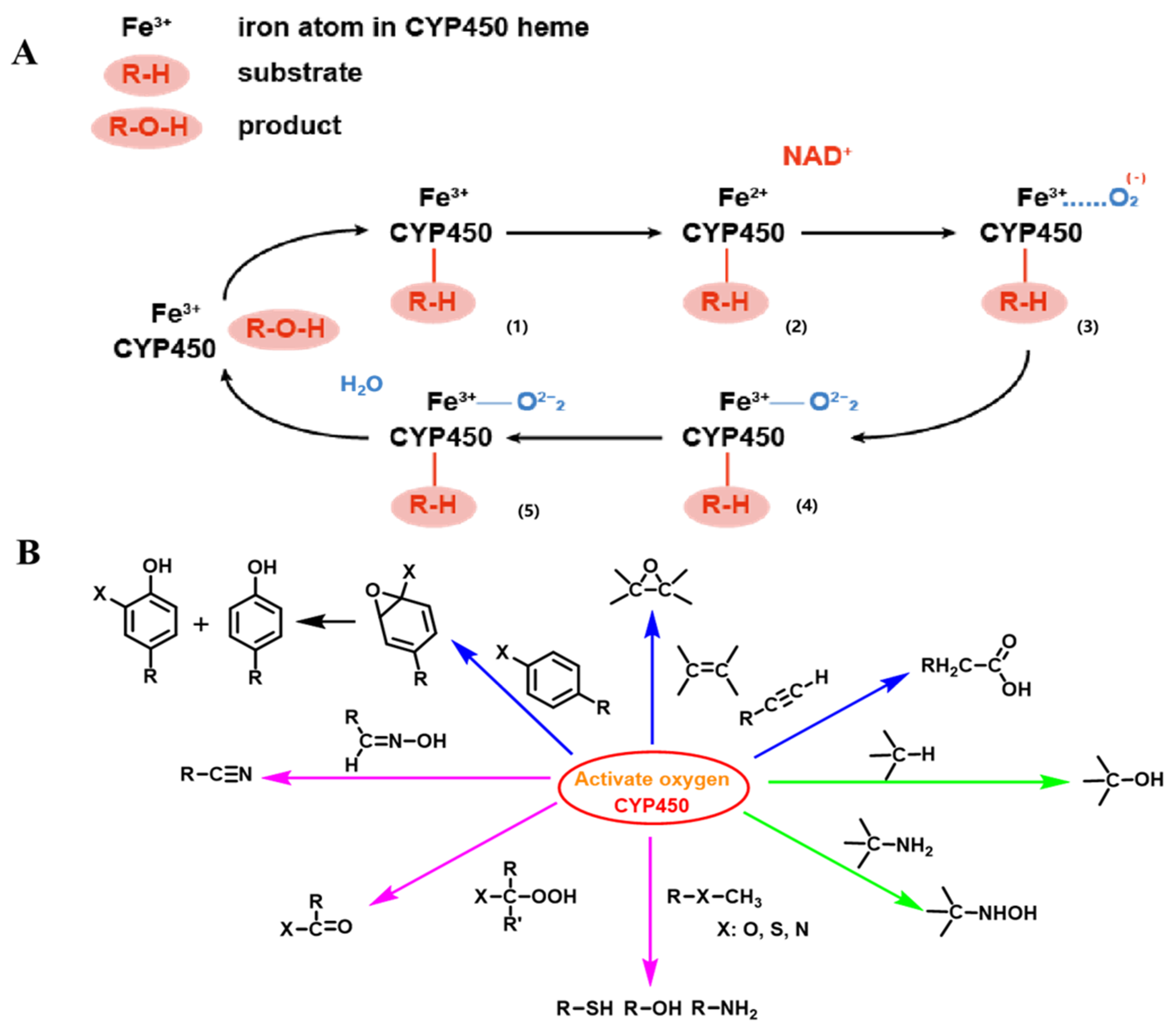 Chemosensors 10 00304 g004