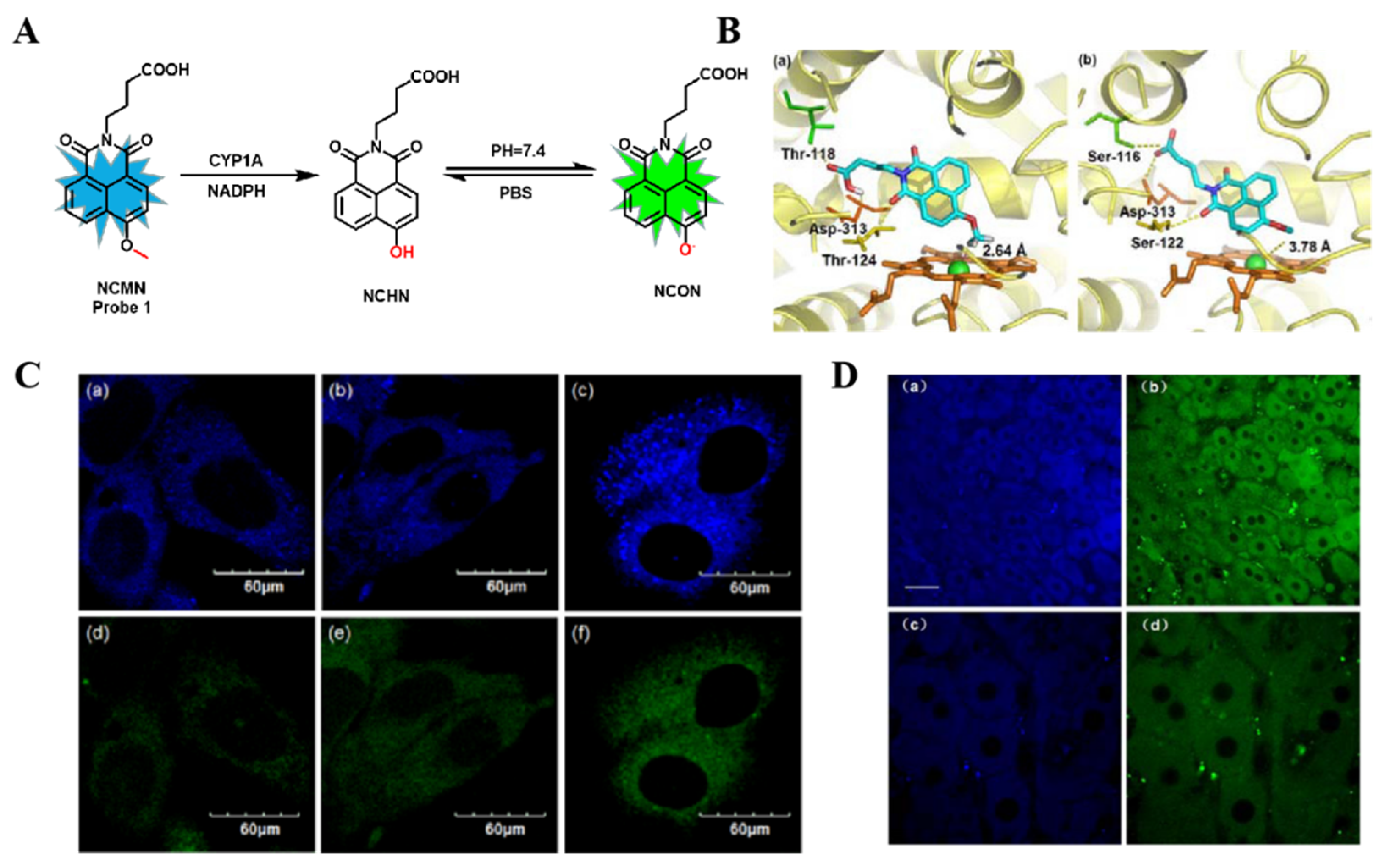 Chemosensors 10 00304 g006