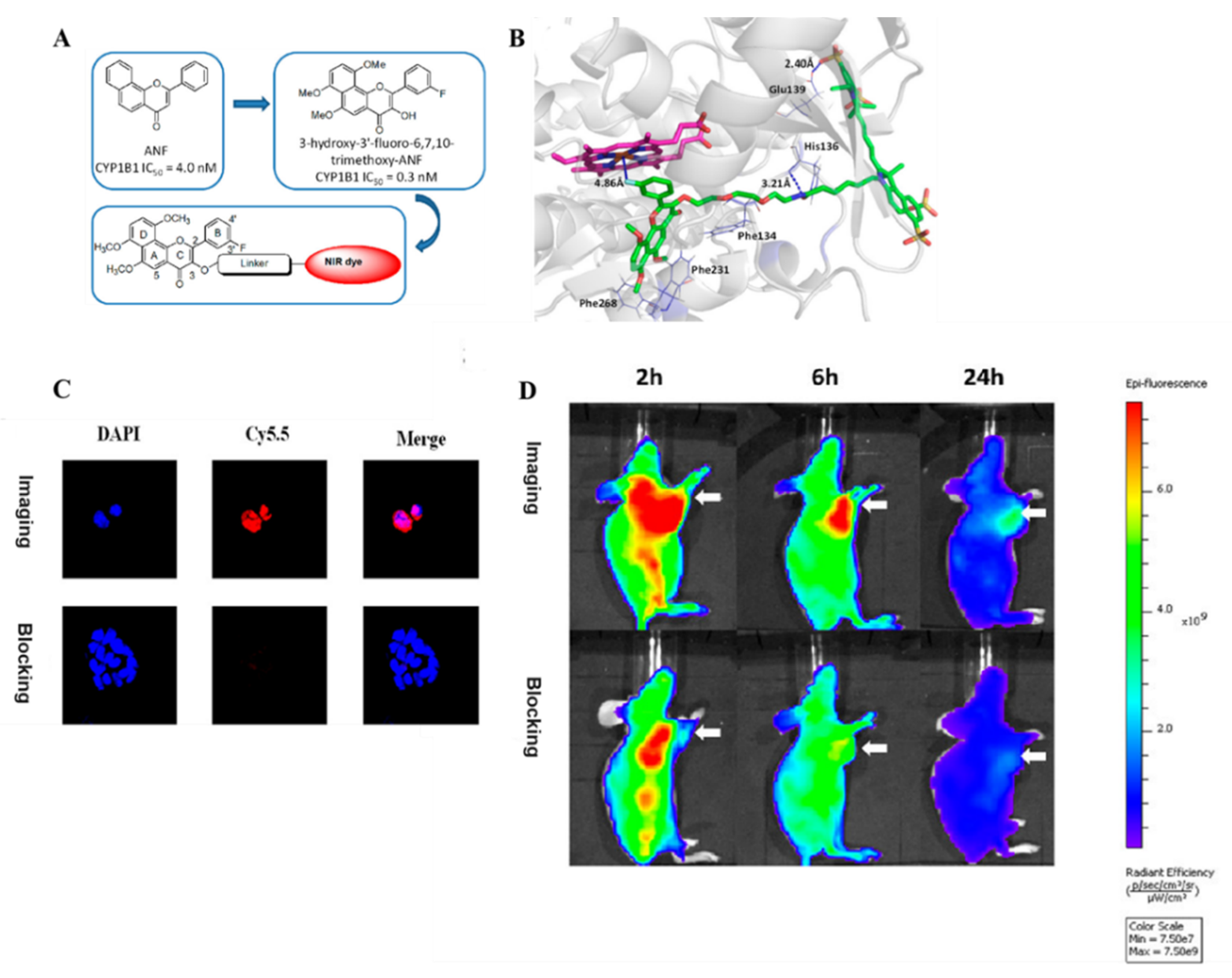 Chemosensors 10 00304 g008