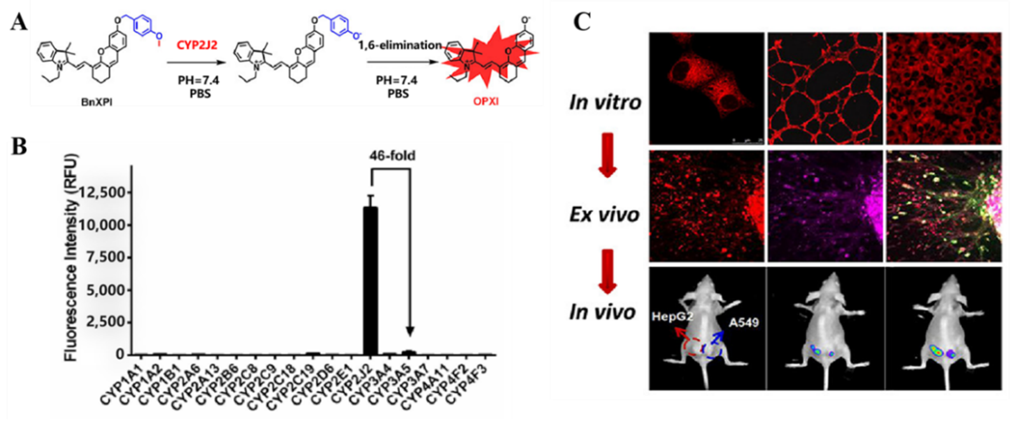 Chemosensors 10 00304 g009