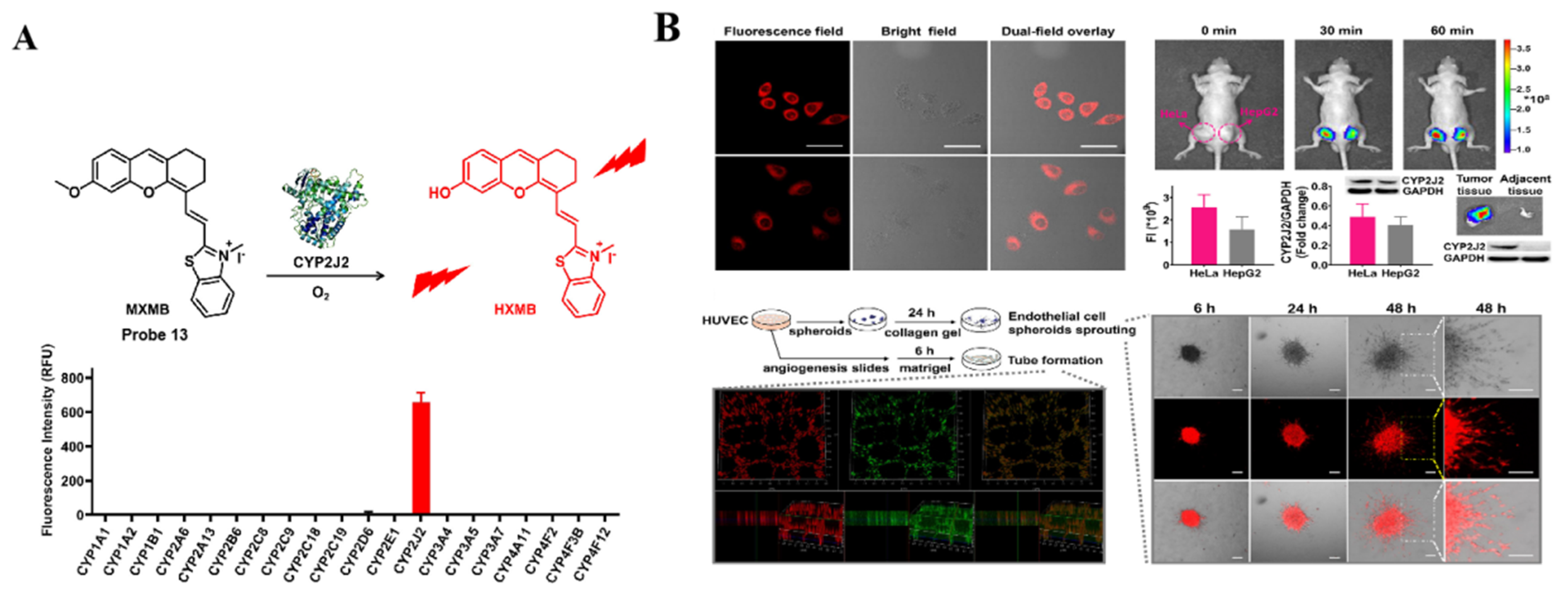 Chemosensors 10 00304 g011