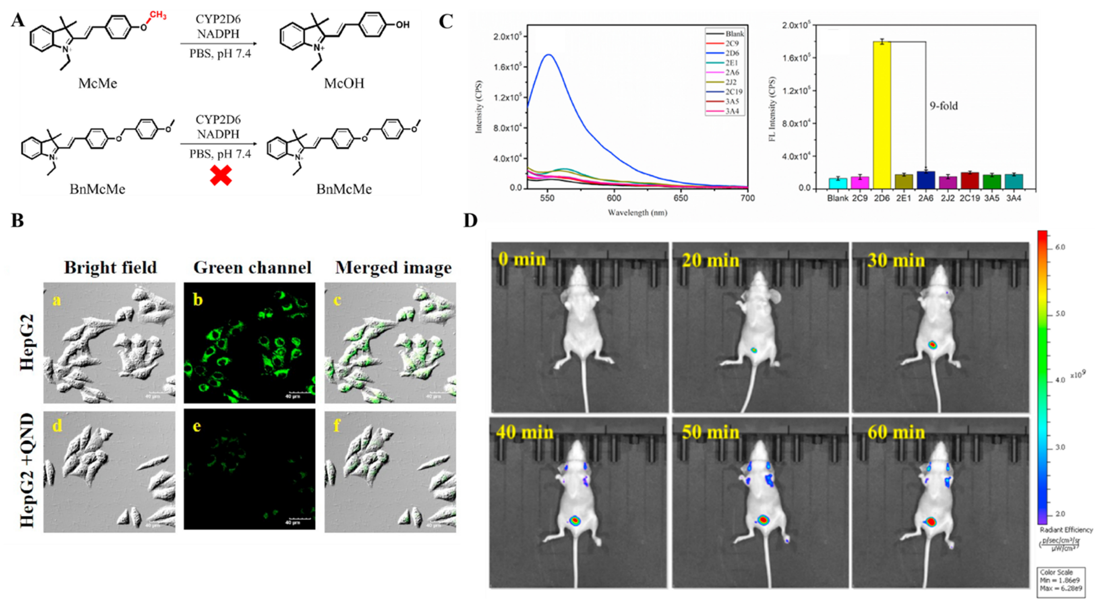 Chemosensors 10 00304 g013