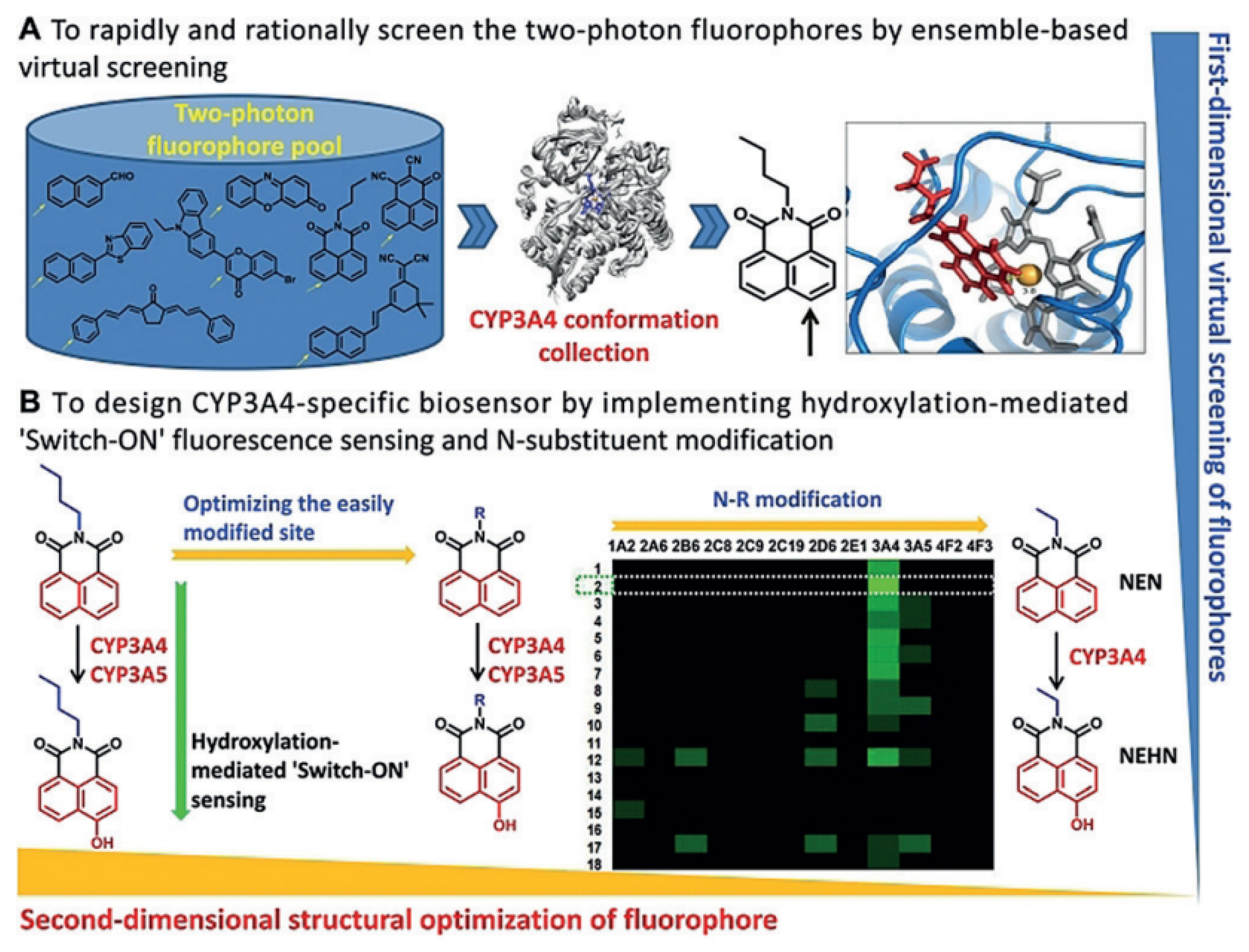 Chemosensors 10 00304 g014