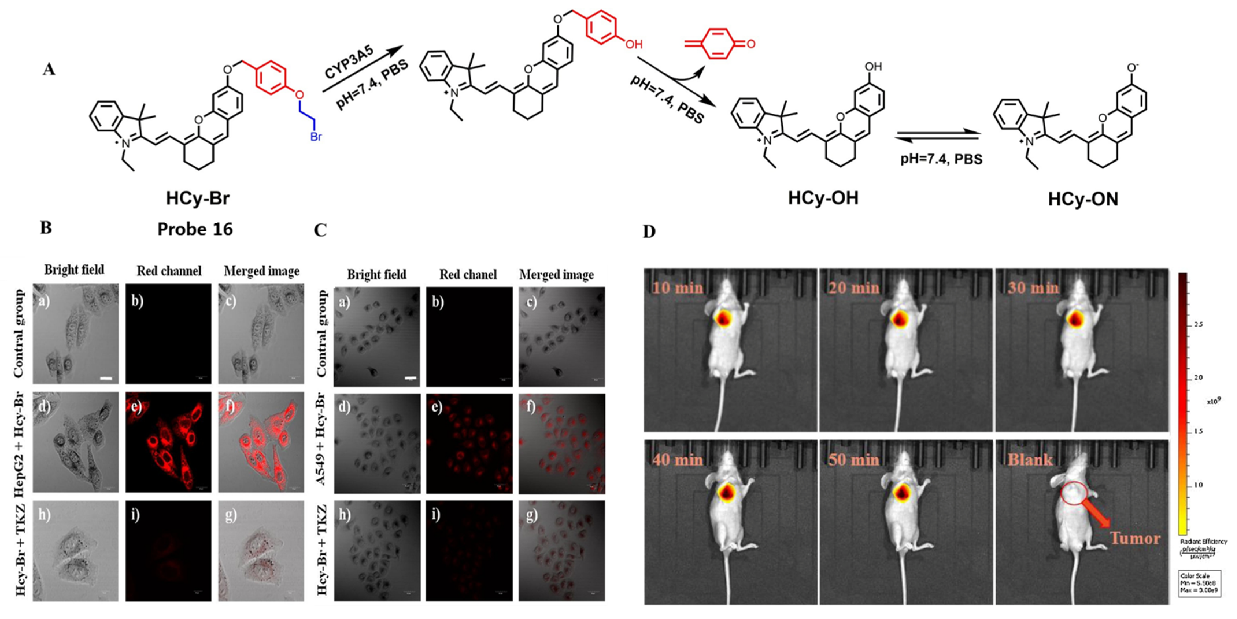 Chemosensors 10 00304 g015