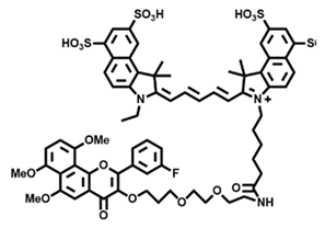 Chemosensors 10 00304 i010