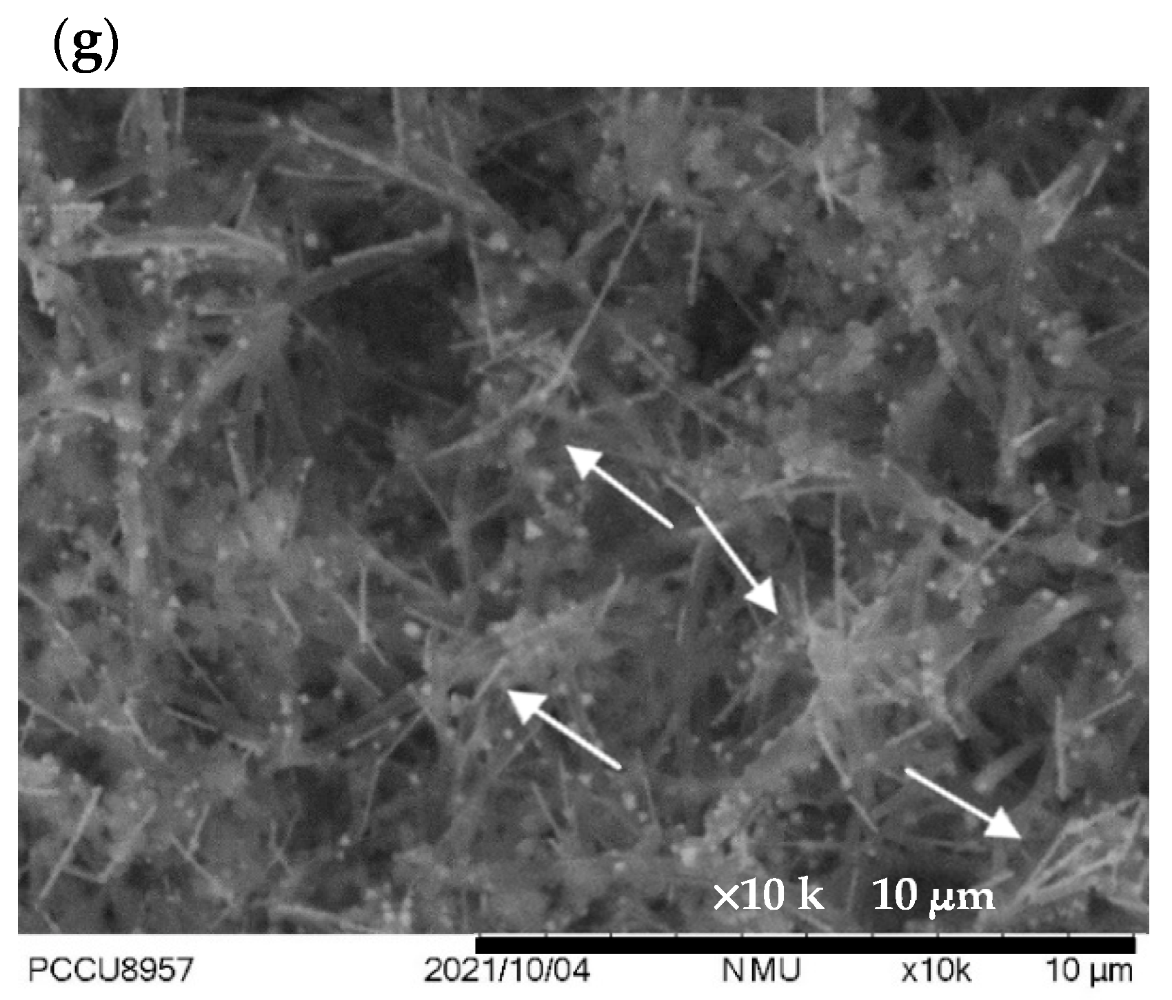 Chemosensors 10 00305 g004b