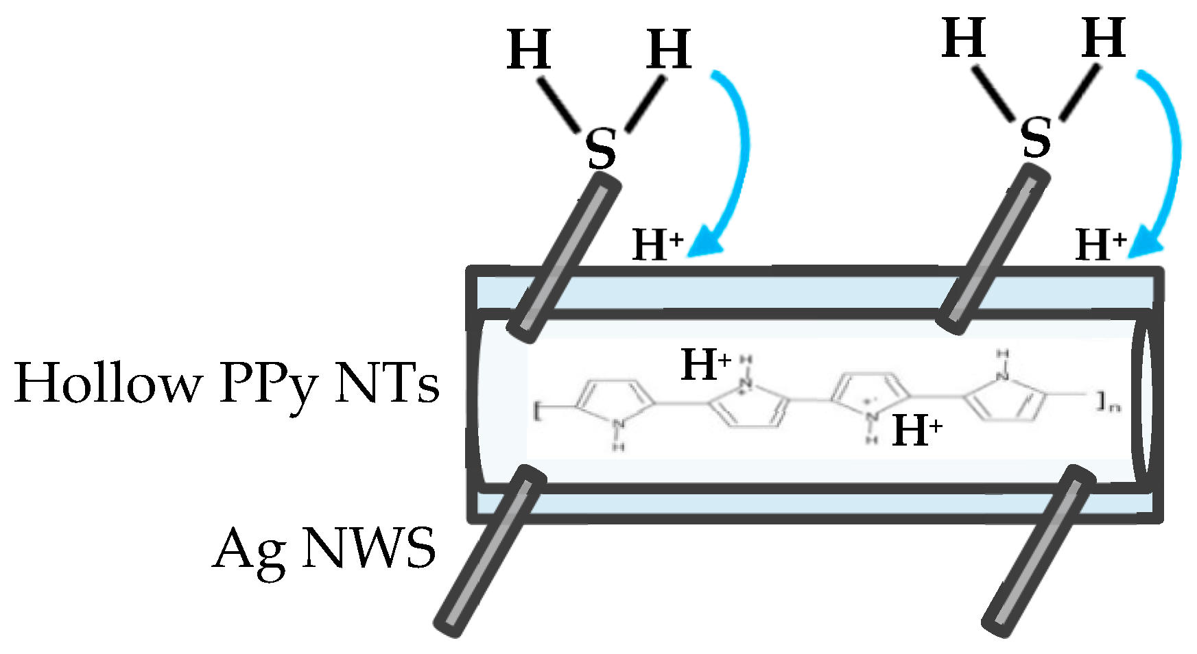 Chemosensors 10 00305 g008
