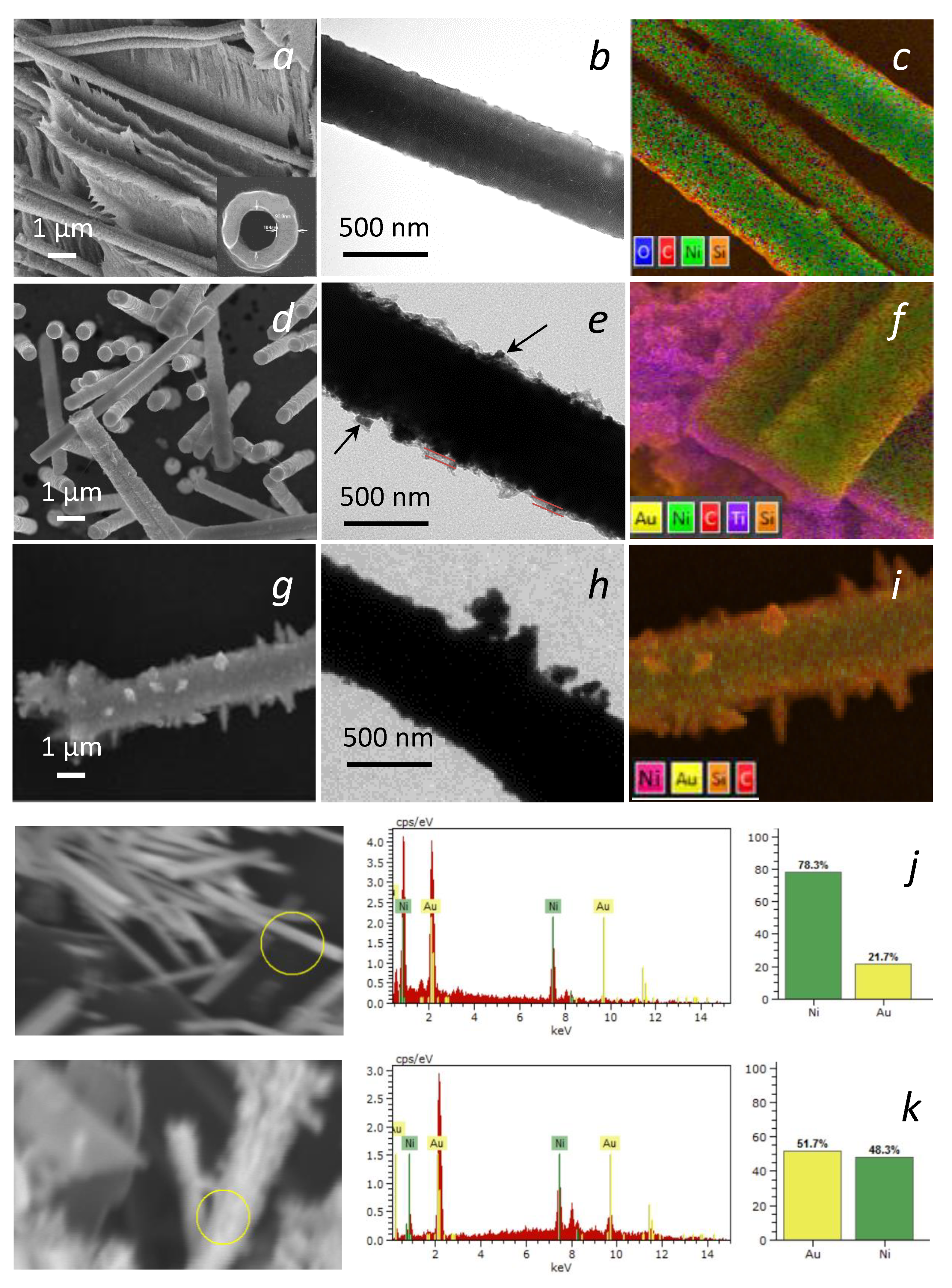 Chemosensors 10 00306 g001
