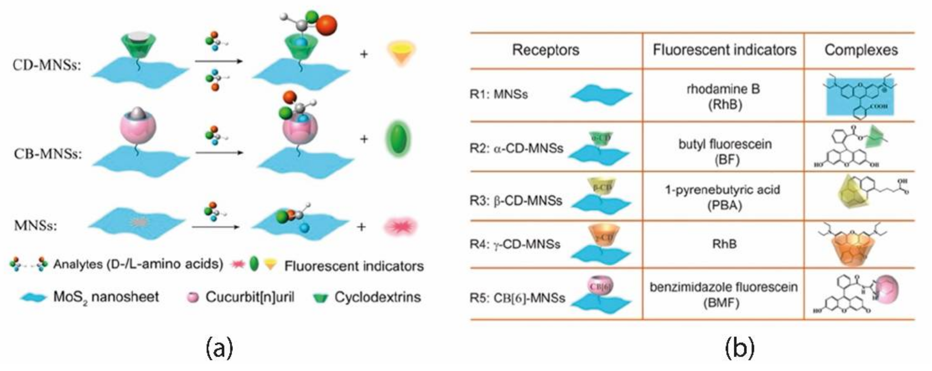 Chemosensors 10 00308 g009 550