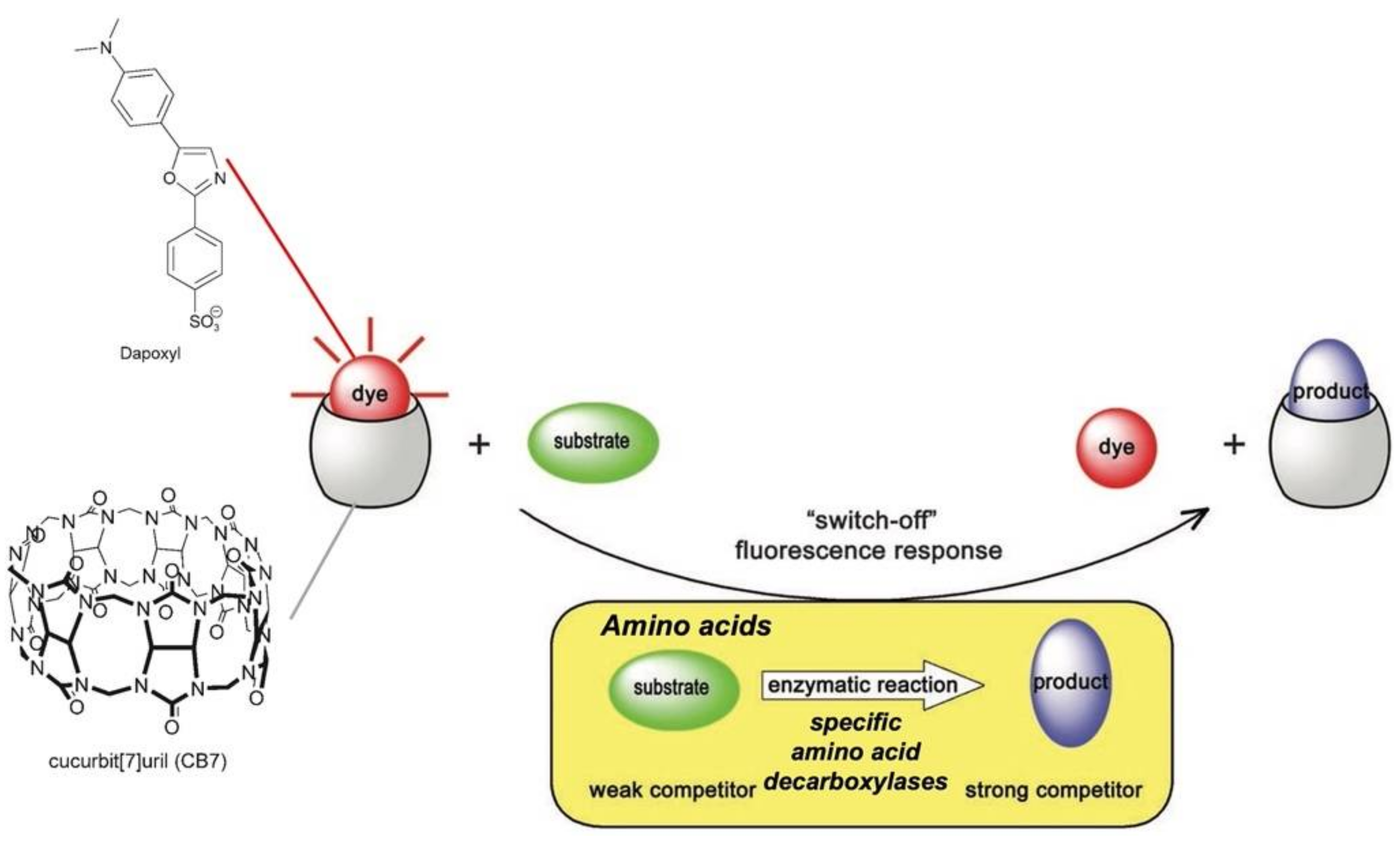 Chemosensors 10 00308 g010 550