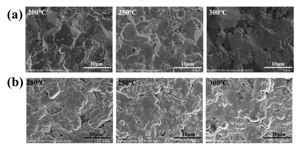 Chemosensors 10 00309 g005 550