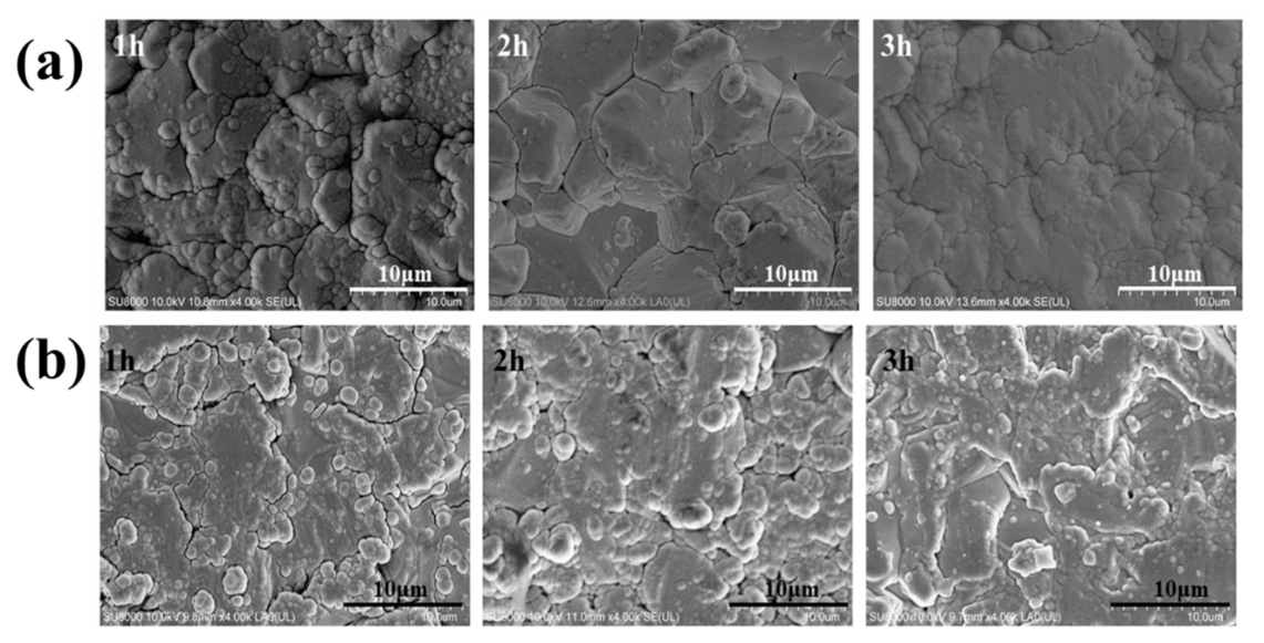 Chemosensors 10 00309 g006 550