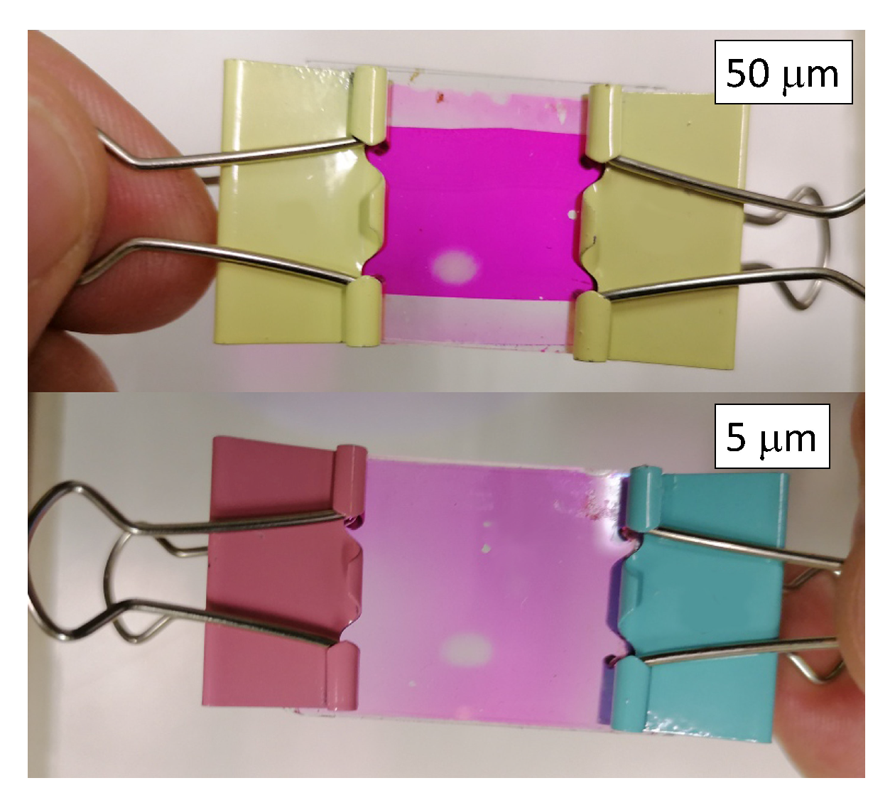 Chemosensors 10 00310 g002