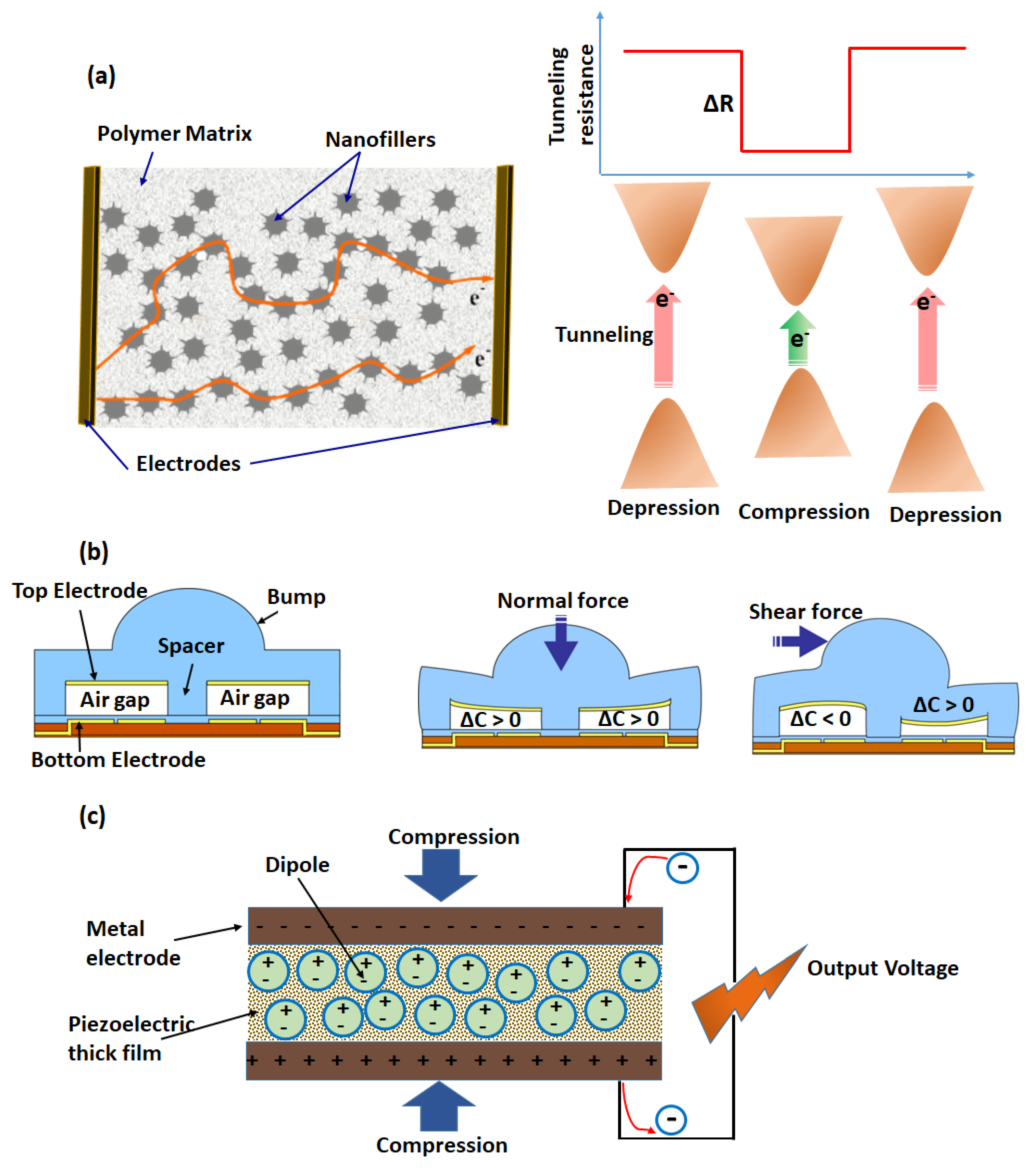 Chemosensors 10 00311 g003