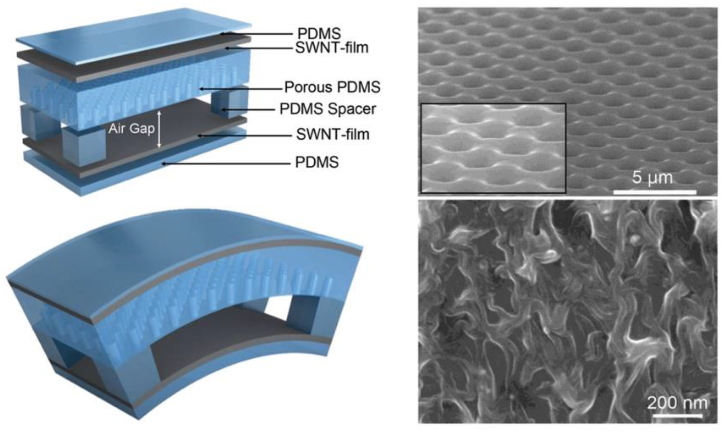 Chemosensors 10 00311 g004