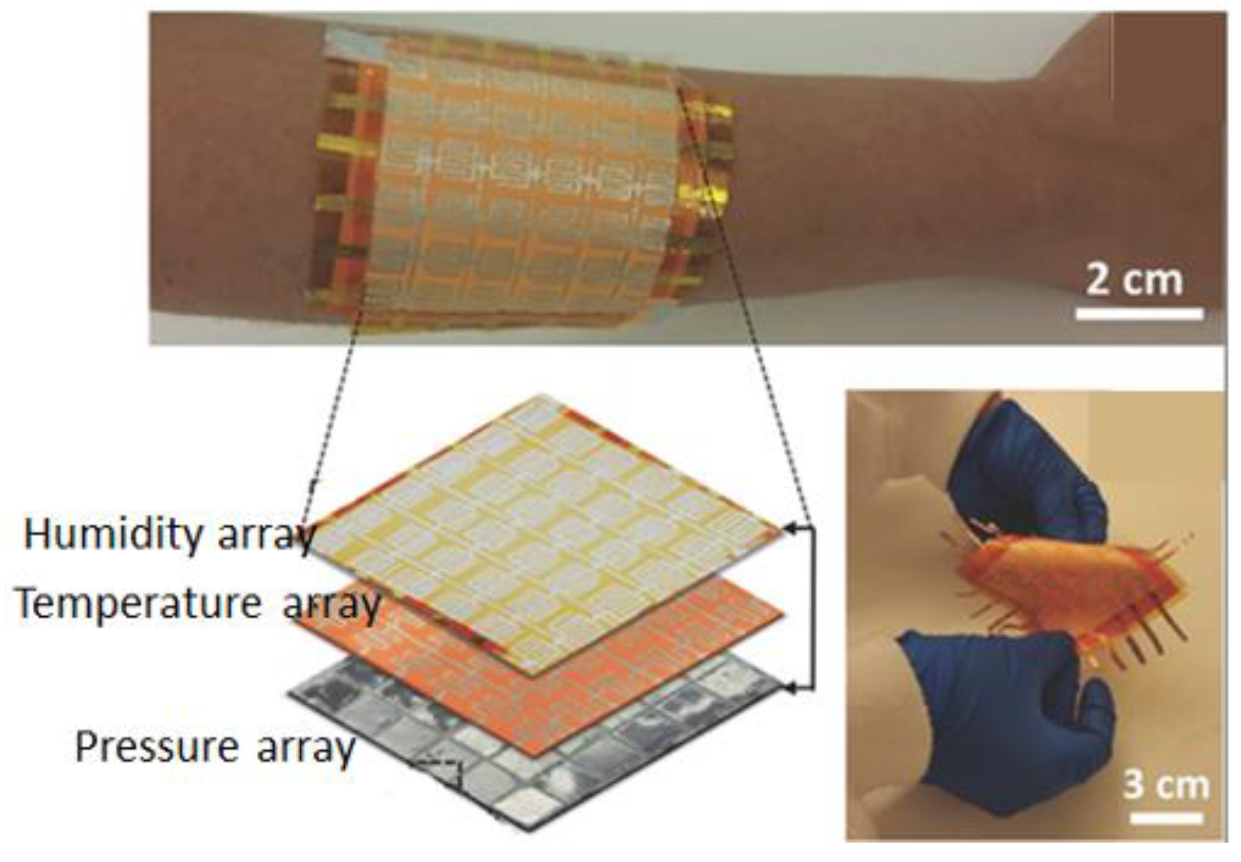 Chemosensors 10 00311 g006
