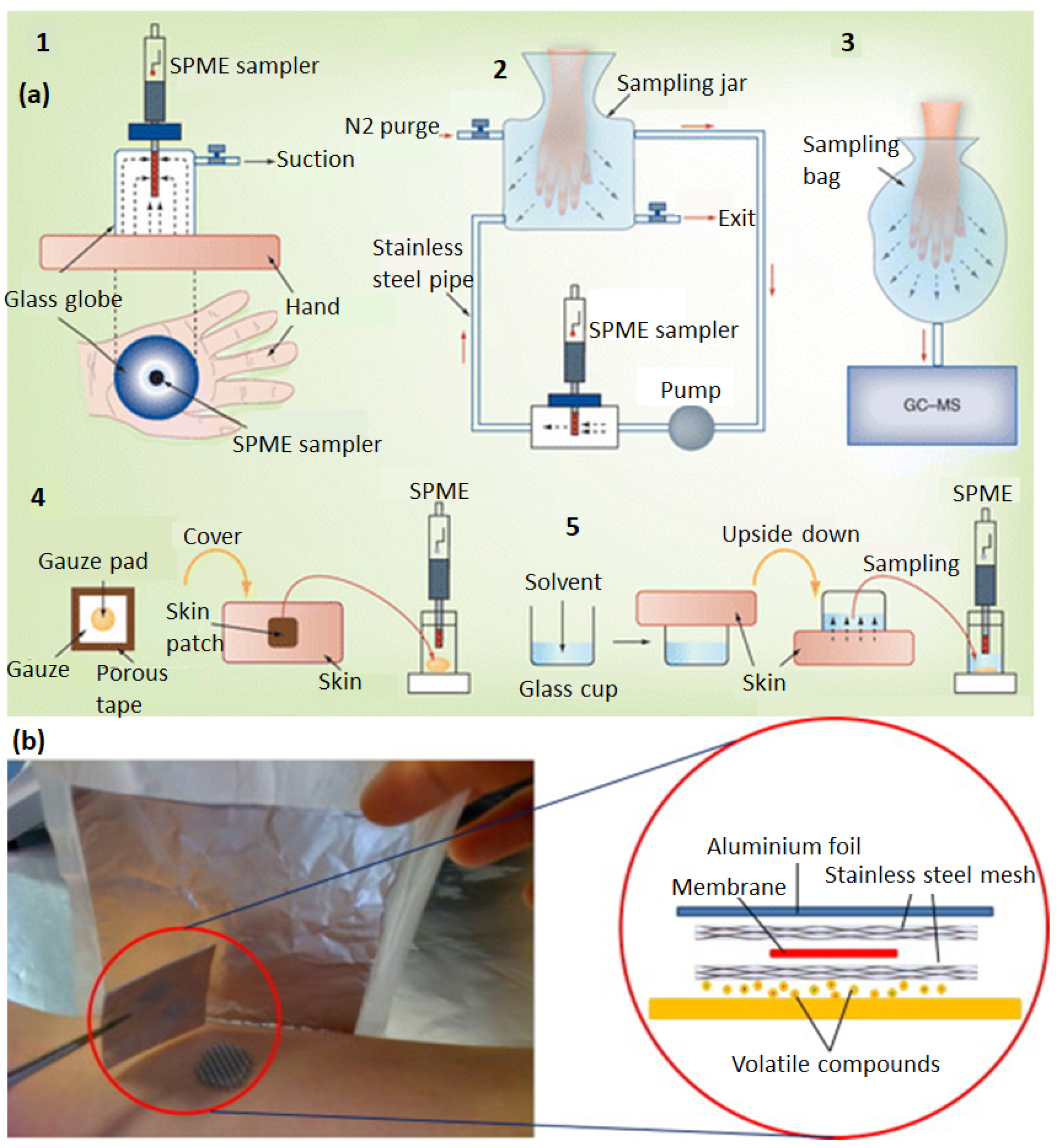 Chemosensors 10 00311 g008