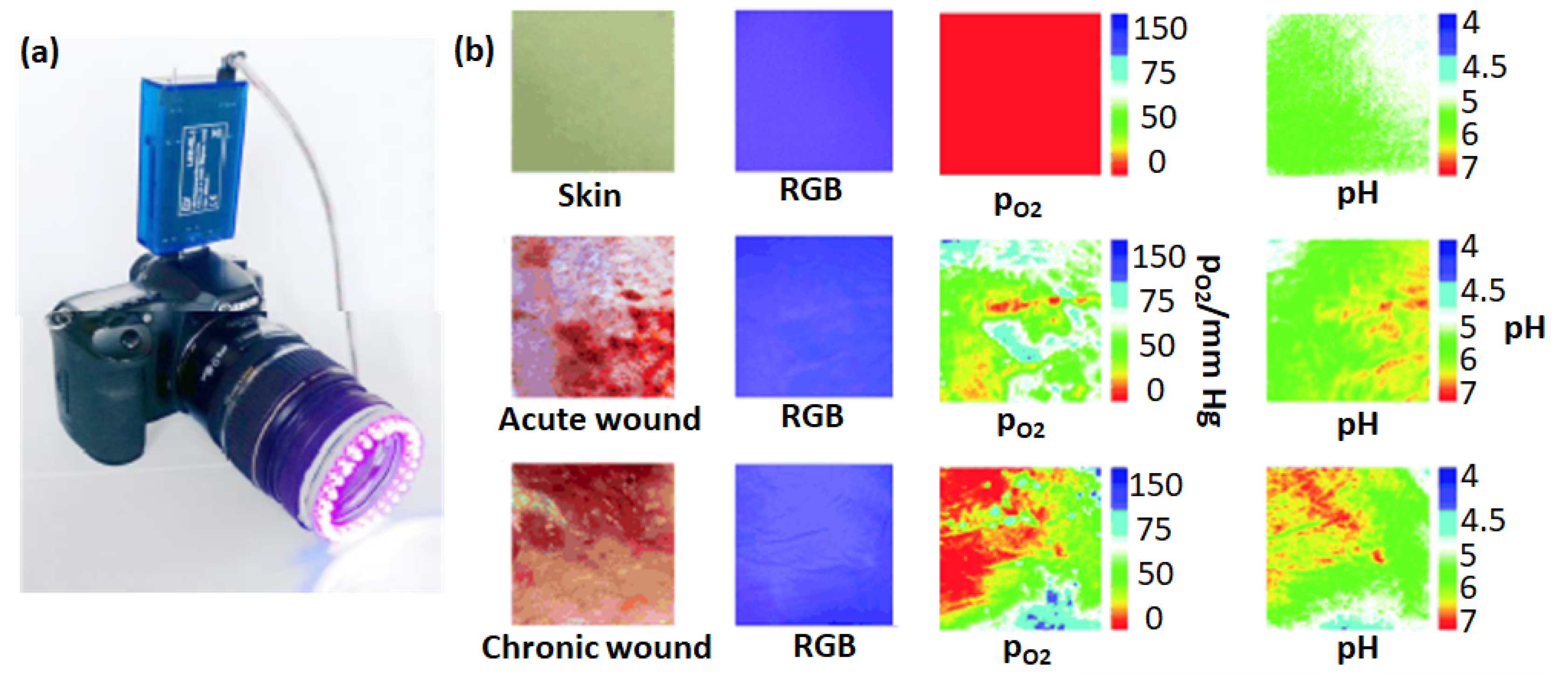 Chemosensors 10 00311 g009