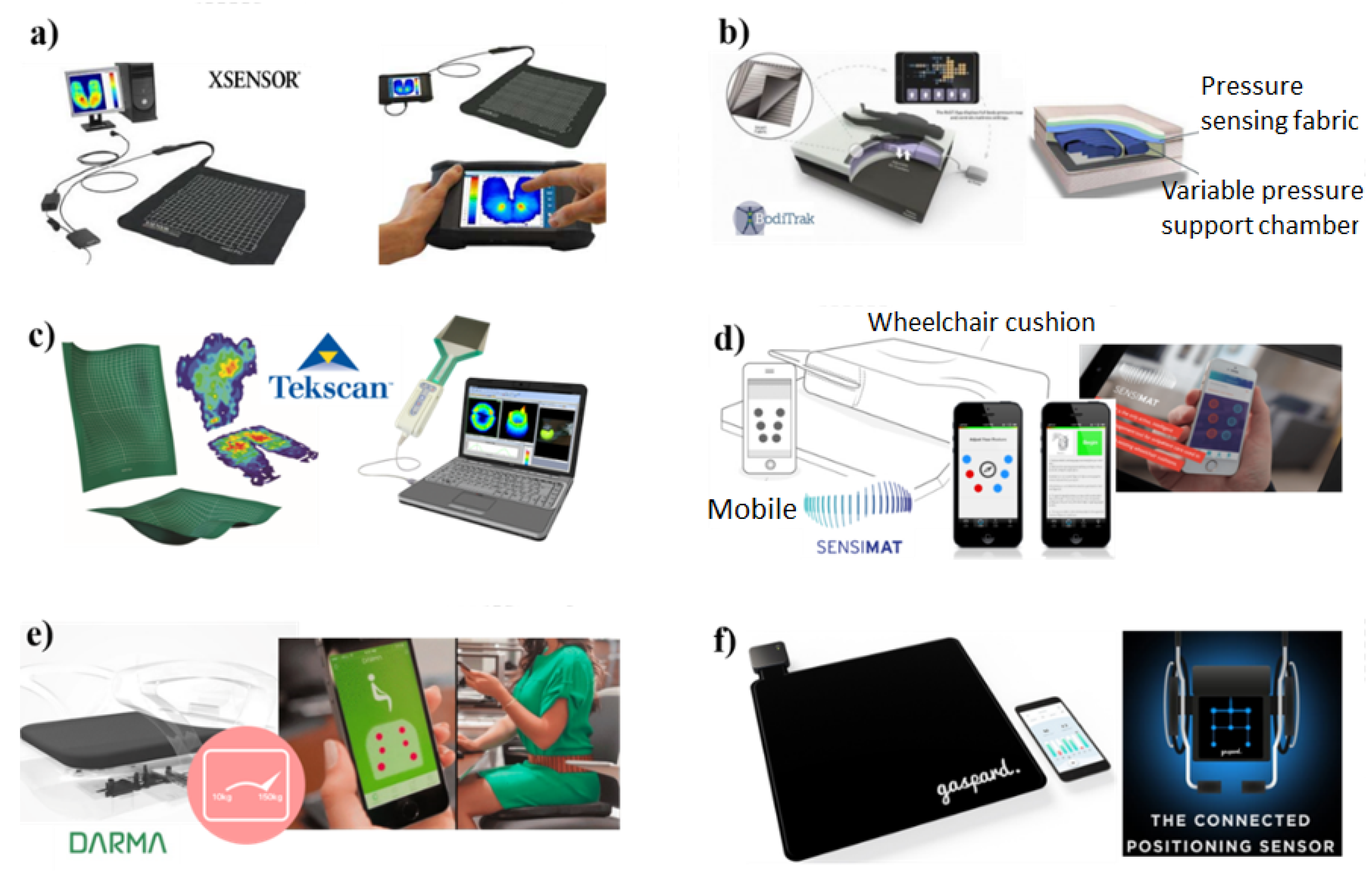 Chemosensors 10 00311 g011