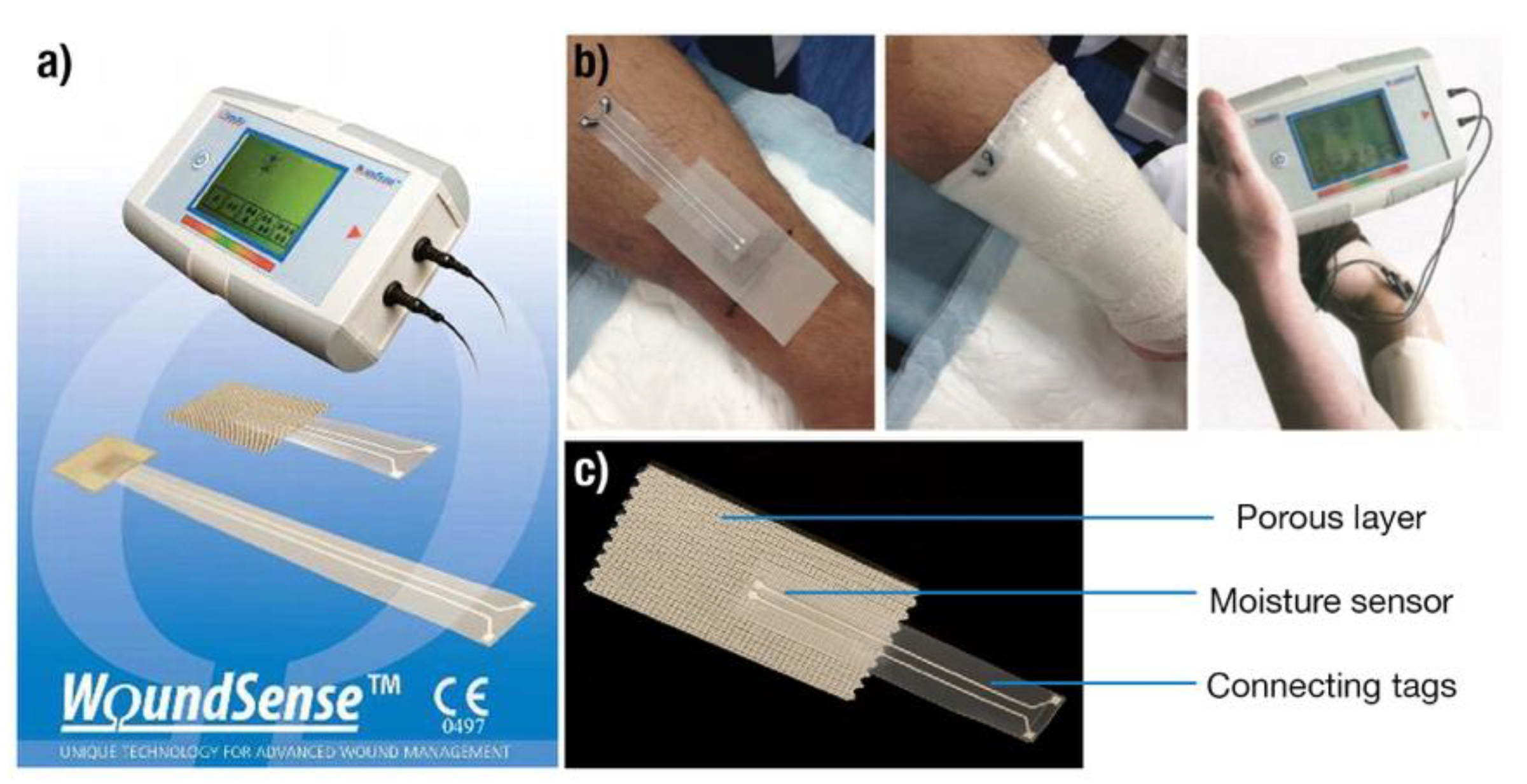 Chemosensors 10 00311 g012