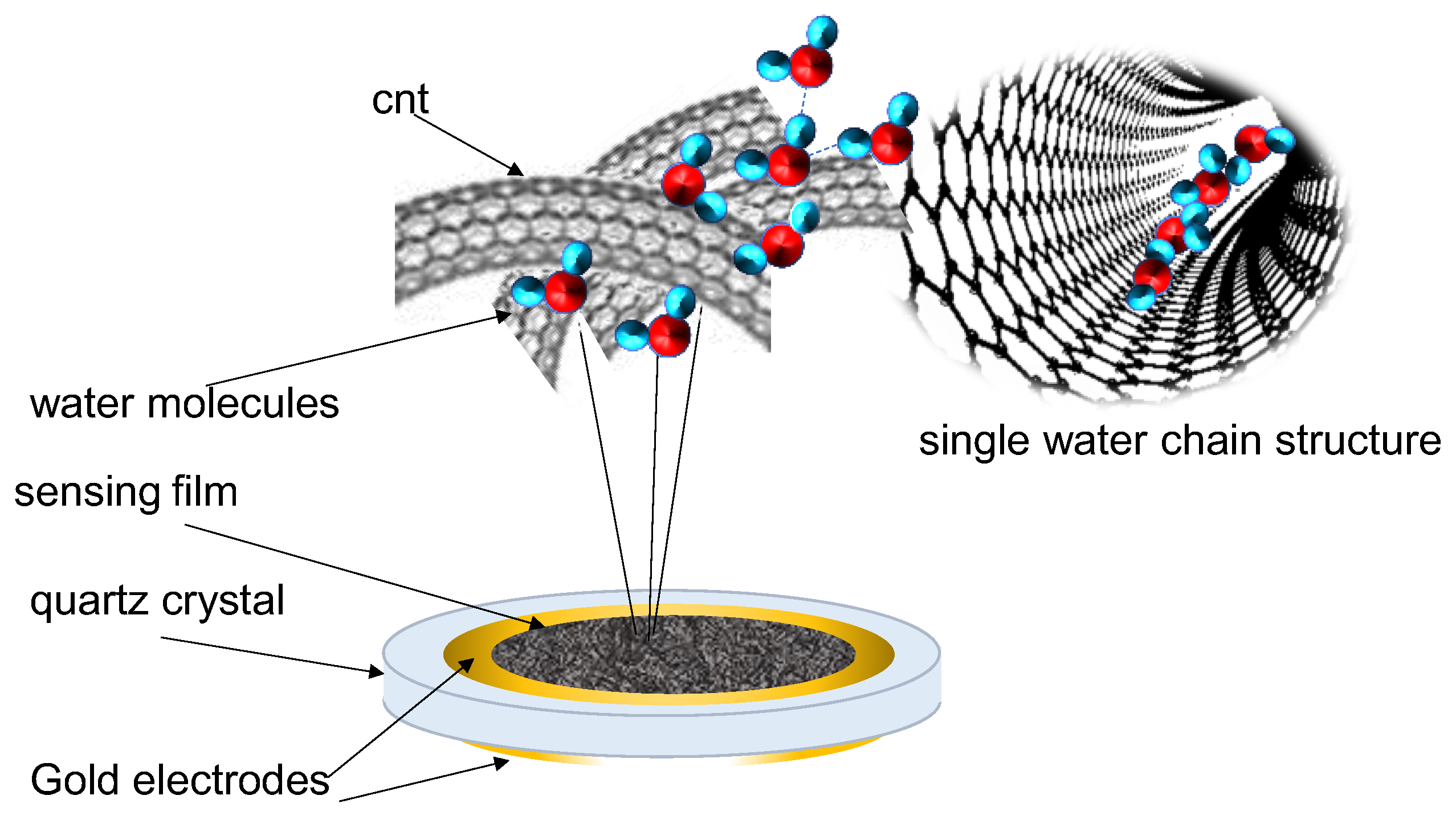 Chemosensors 10 00315 g001 550