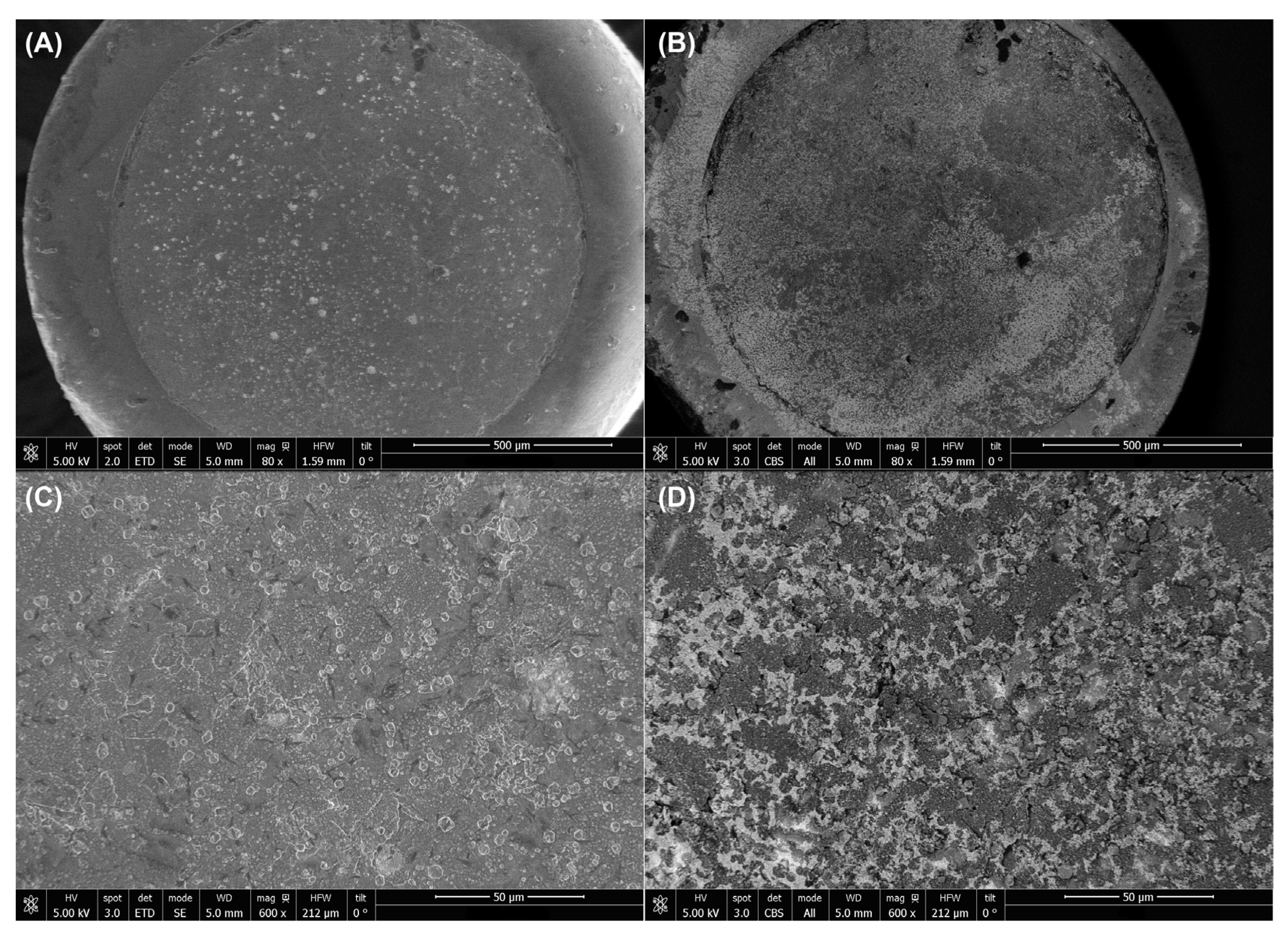 Chemosensors 10 00316 g003