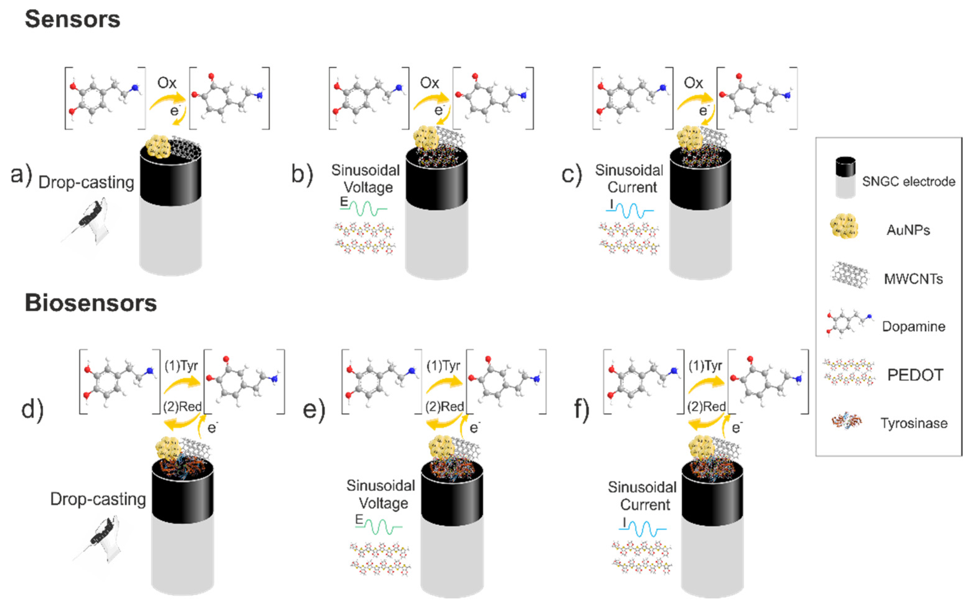 Chemosensors 10 00316 sch001