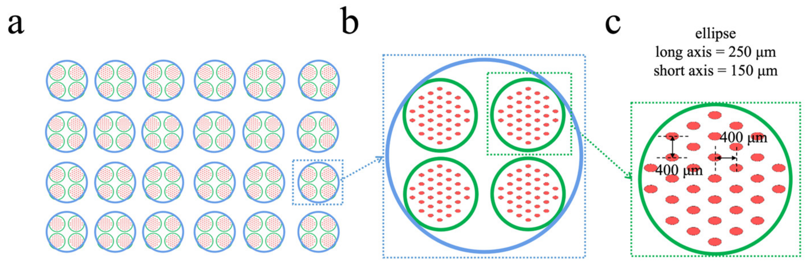 Chemosensors 10 00319 g001