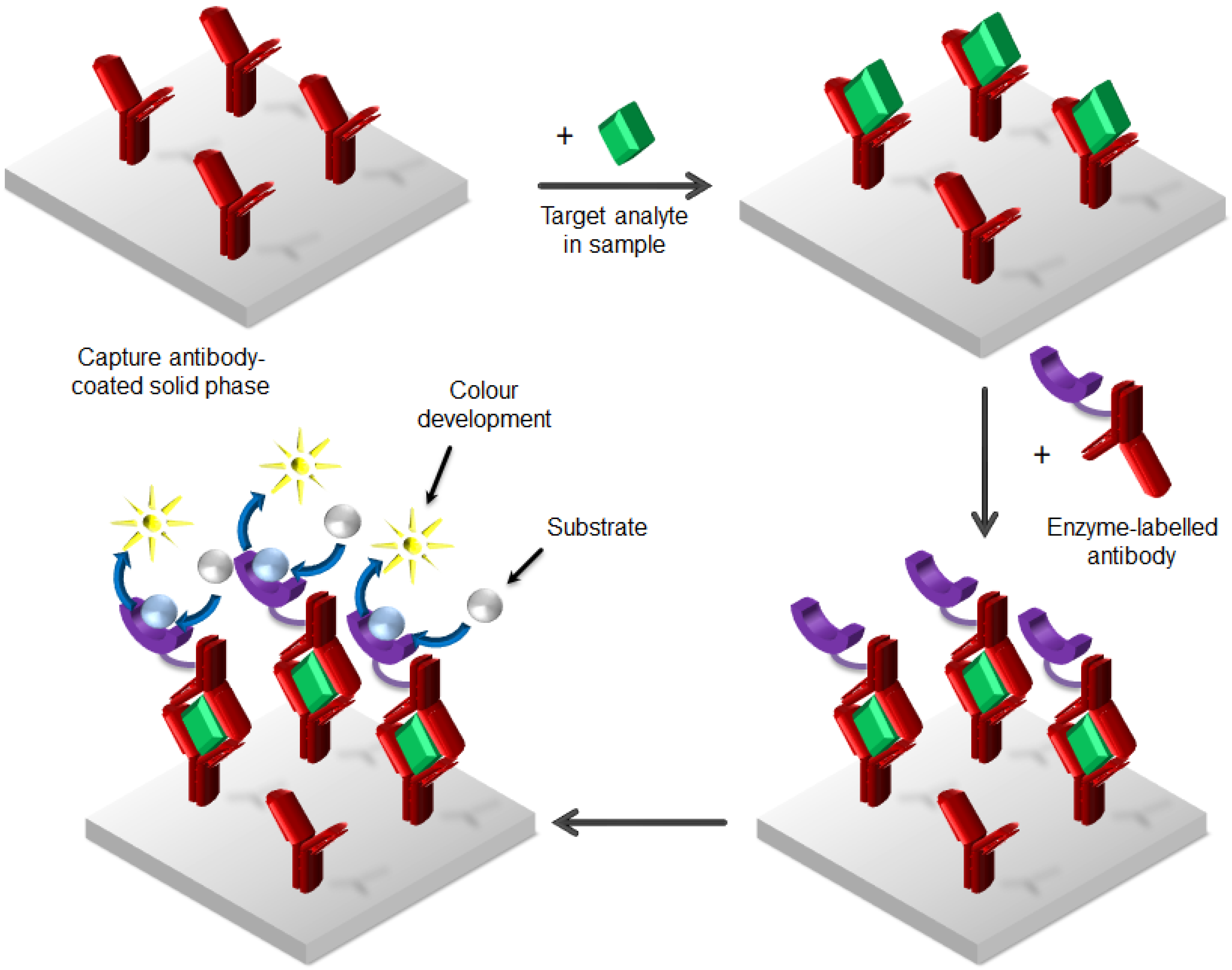 Chemosensors 10 00326 g003 Chemosensors 10 00326 g003