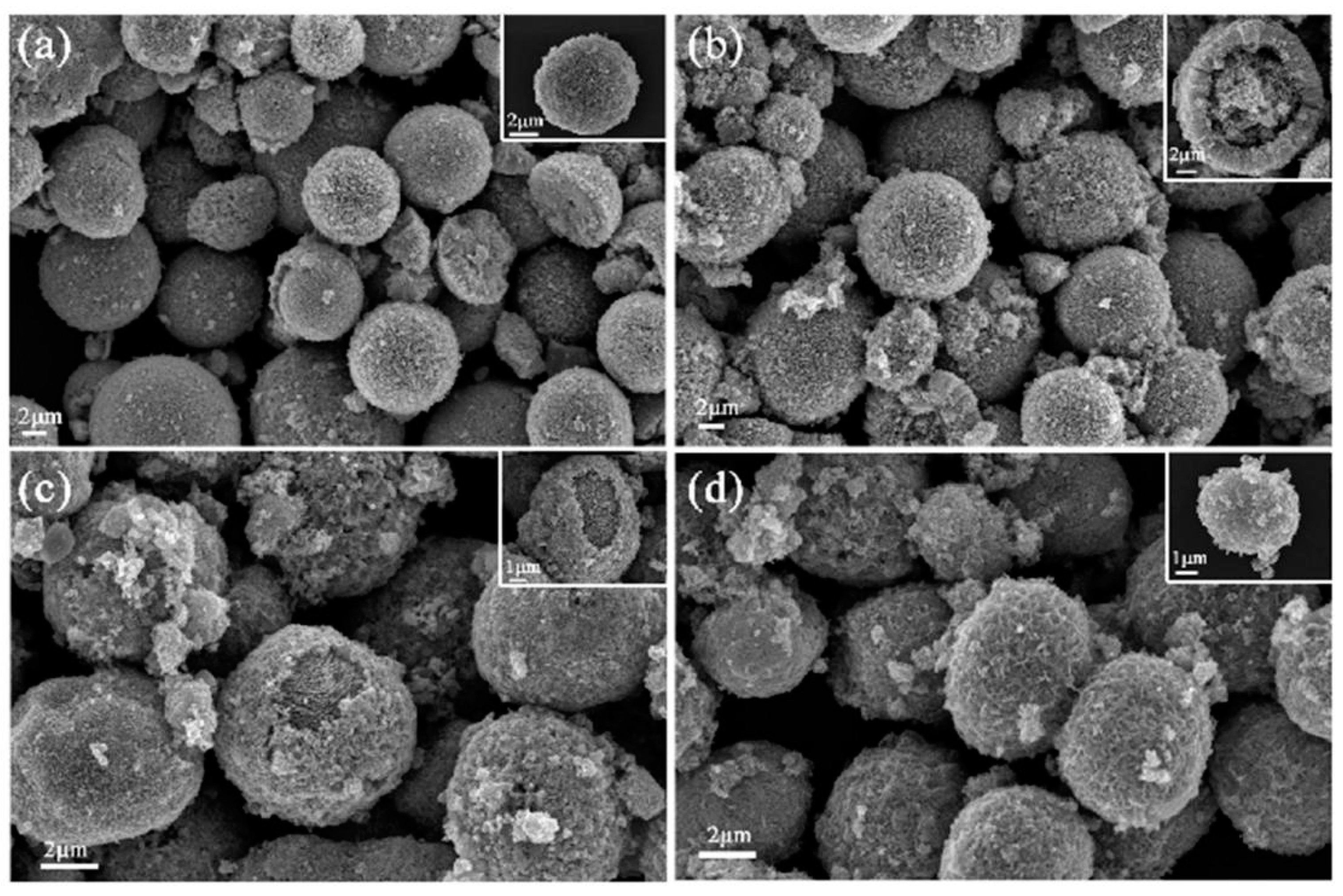 Chemosensors 10 00327 g002 550
