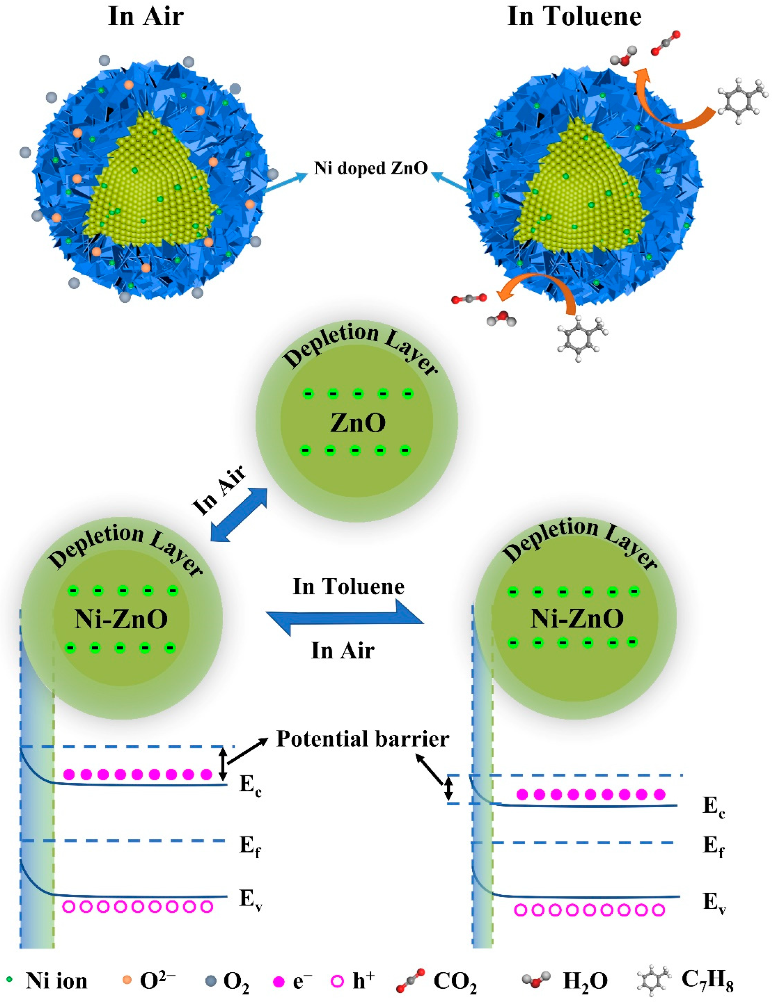 Chemosensors 10 00327 g010 550