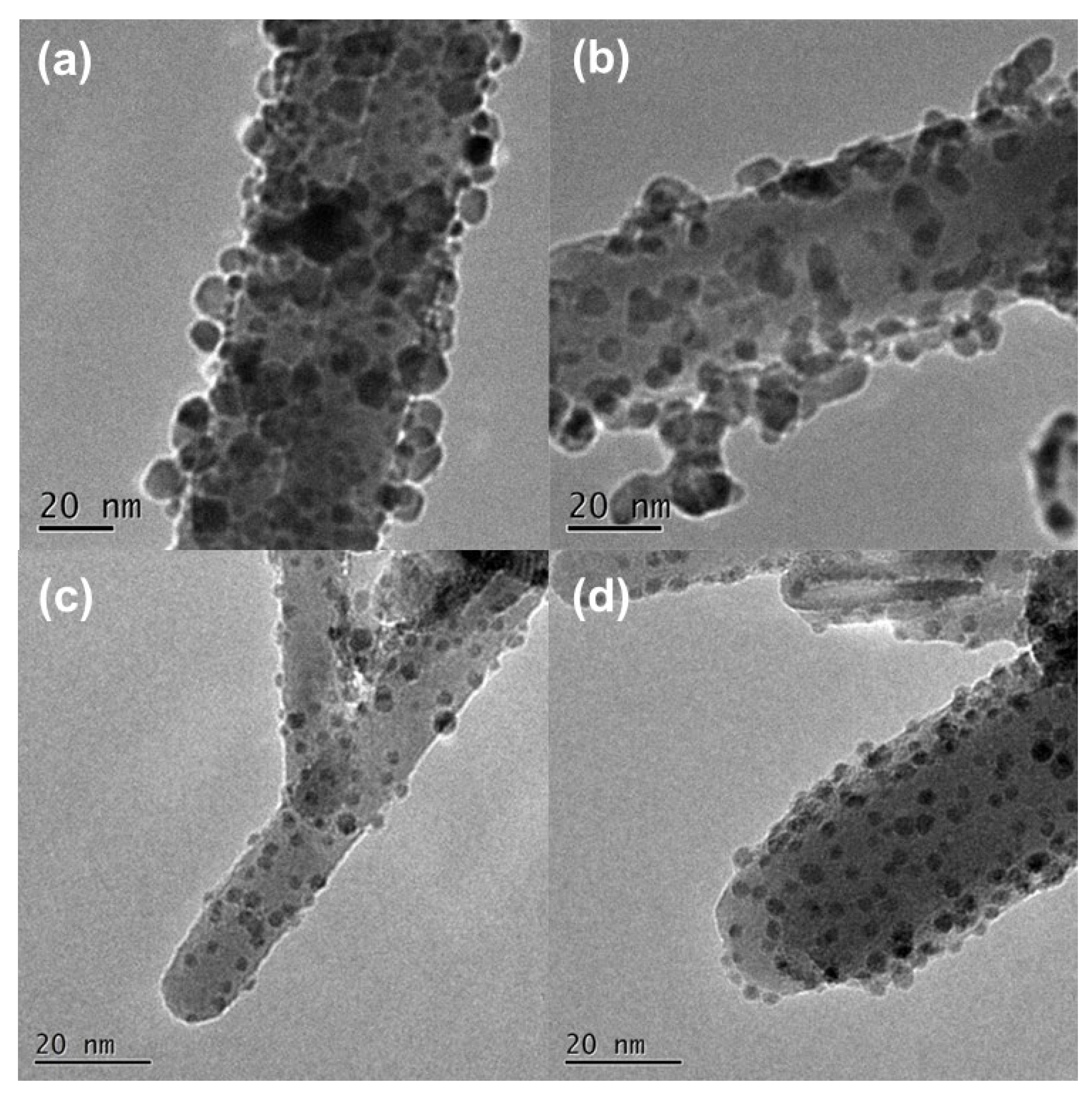 Chemosensors 10 00329 g002 550