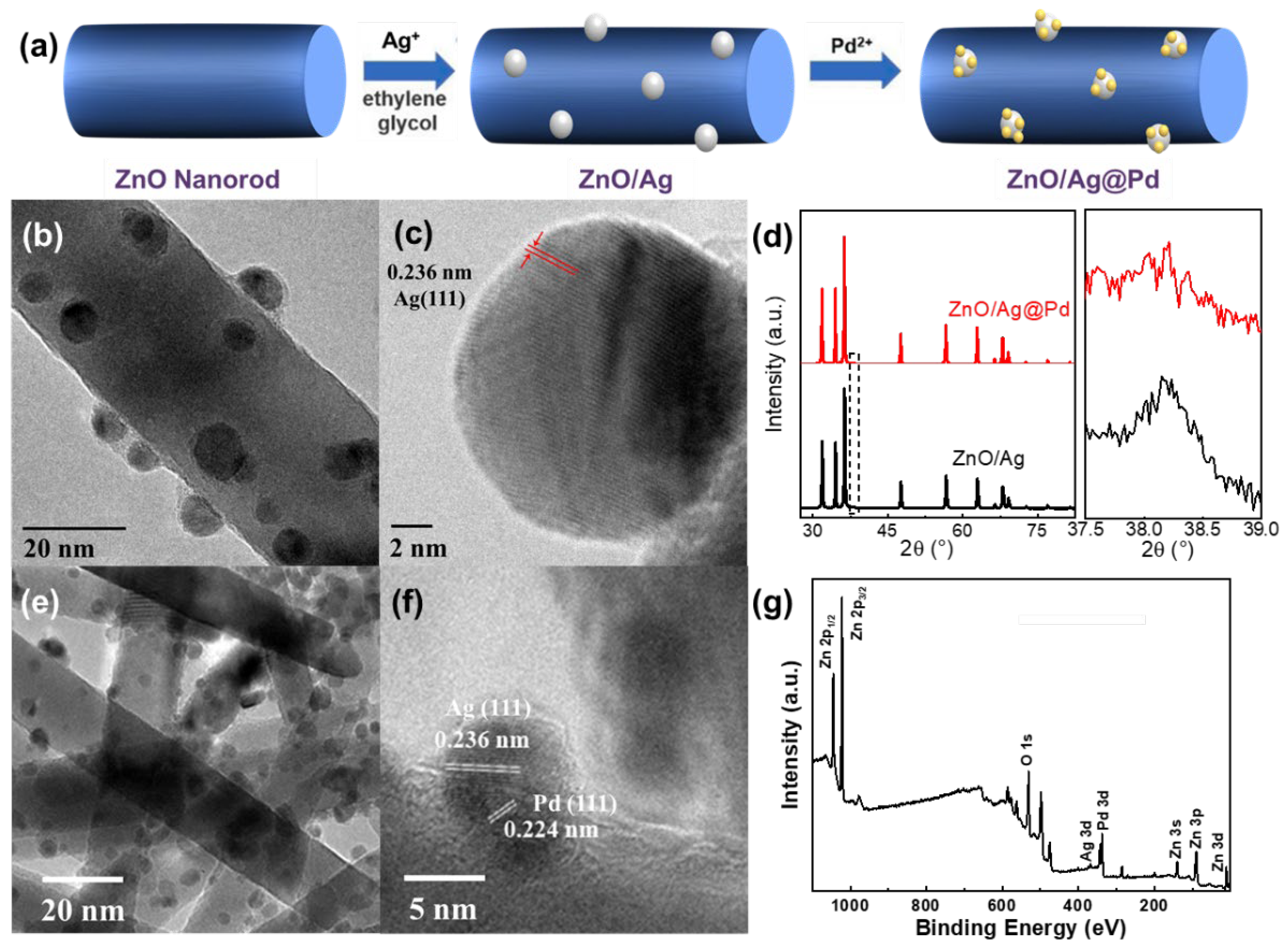 Chemosensors 10 00329 g004 550