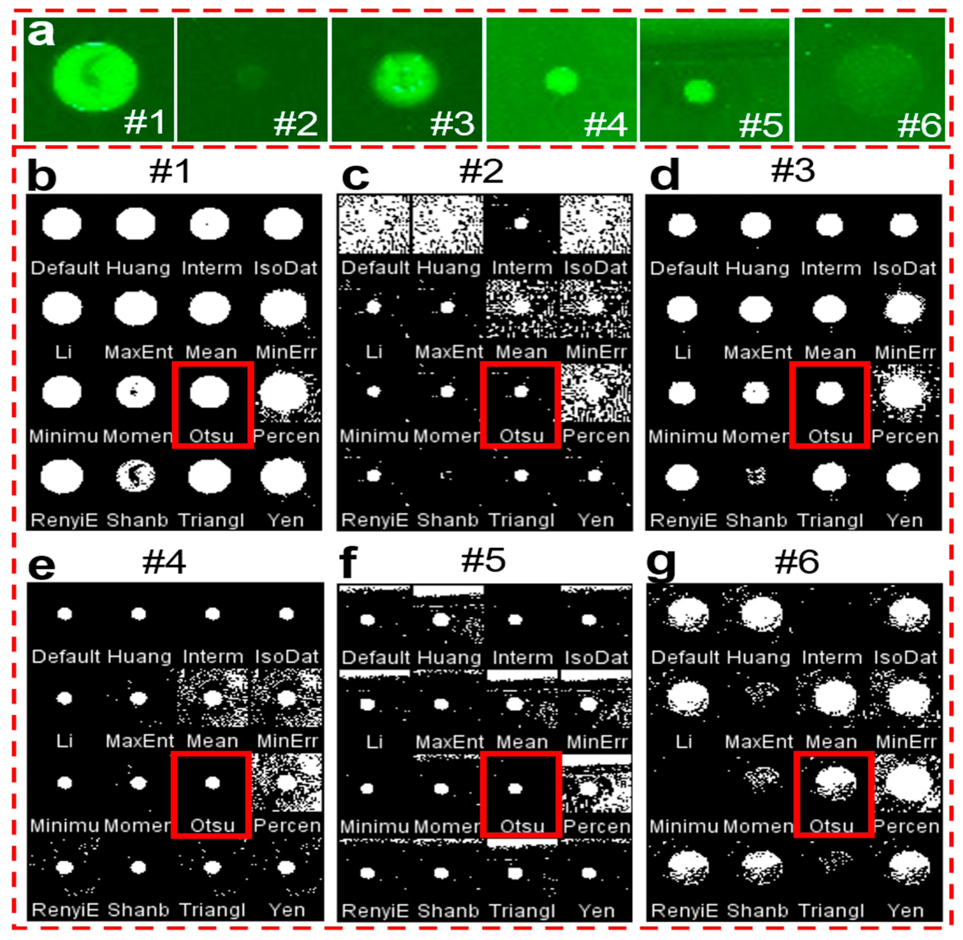 Chemosensors 10 00330 g003 550