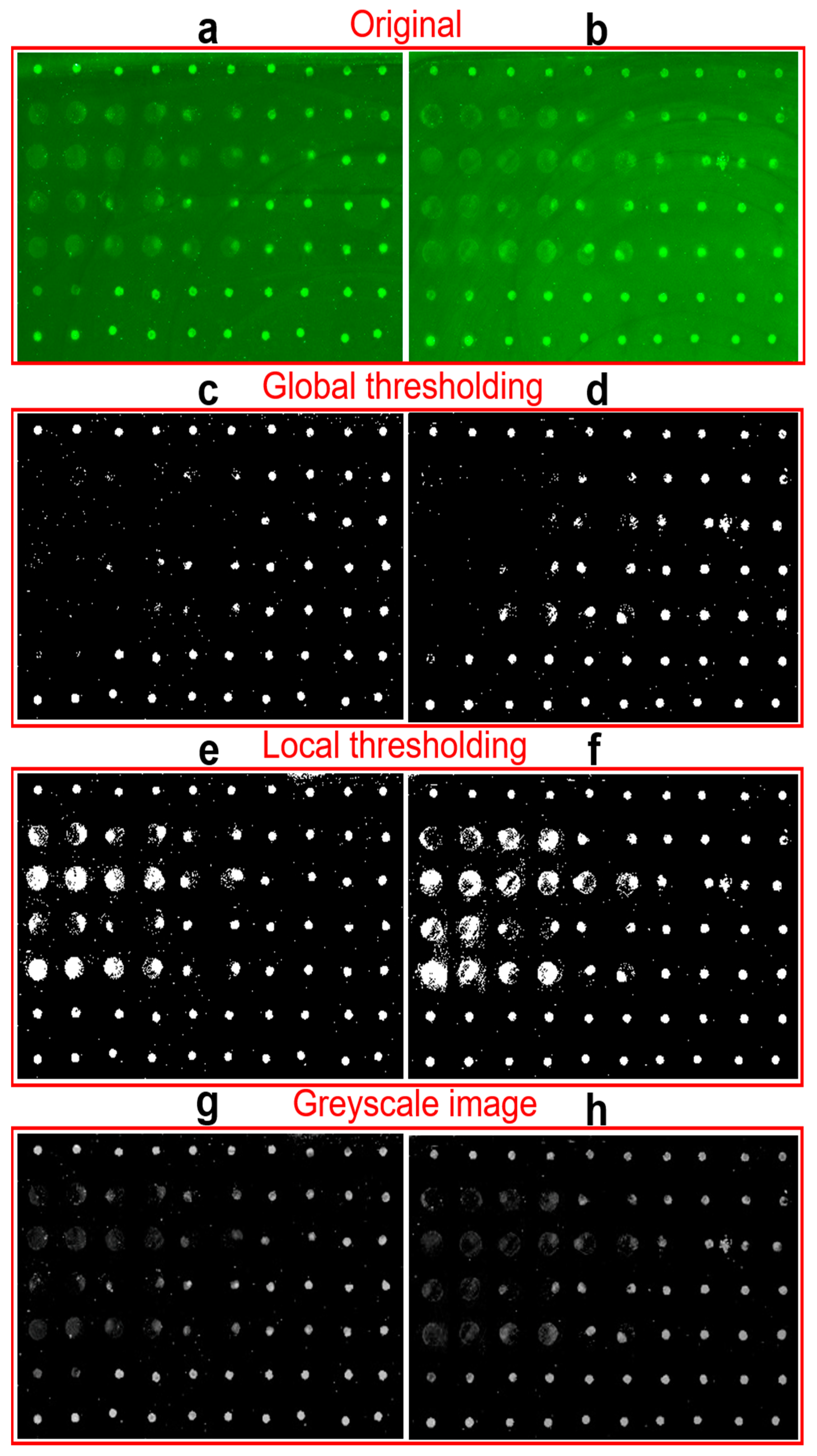 Chemosensors 10 00330 g004 550