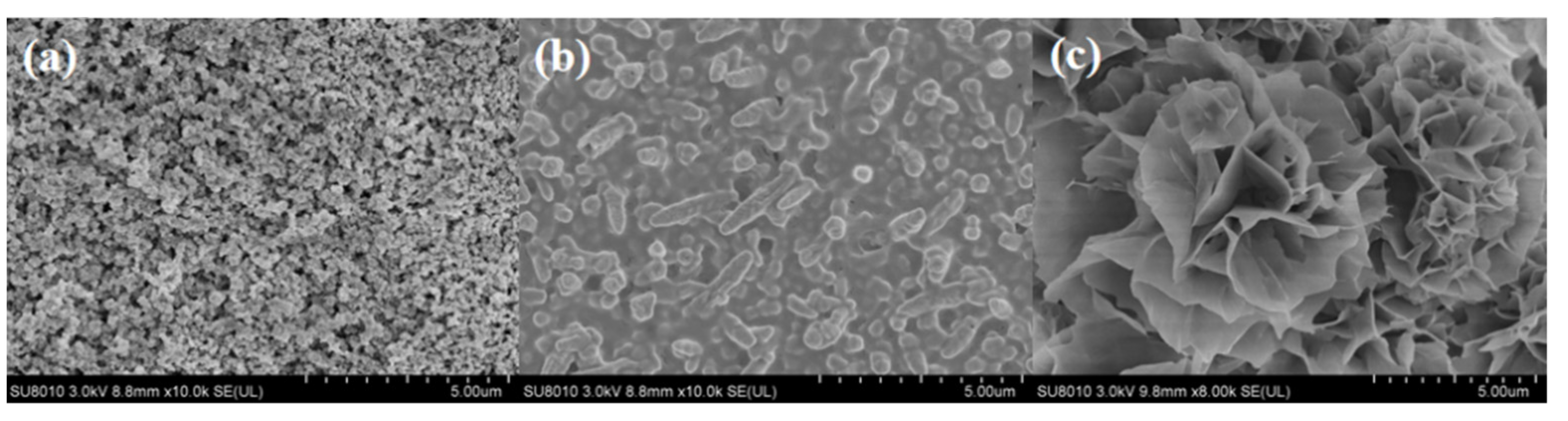 Chemosensors 10 00332 g002 550