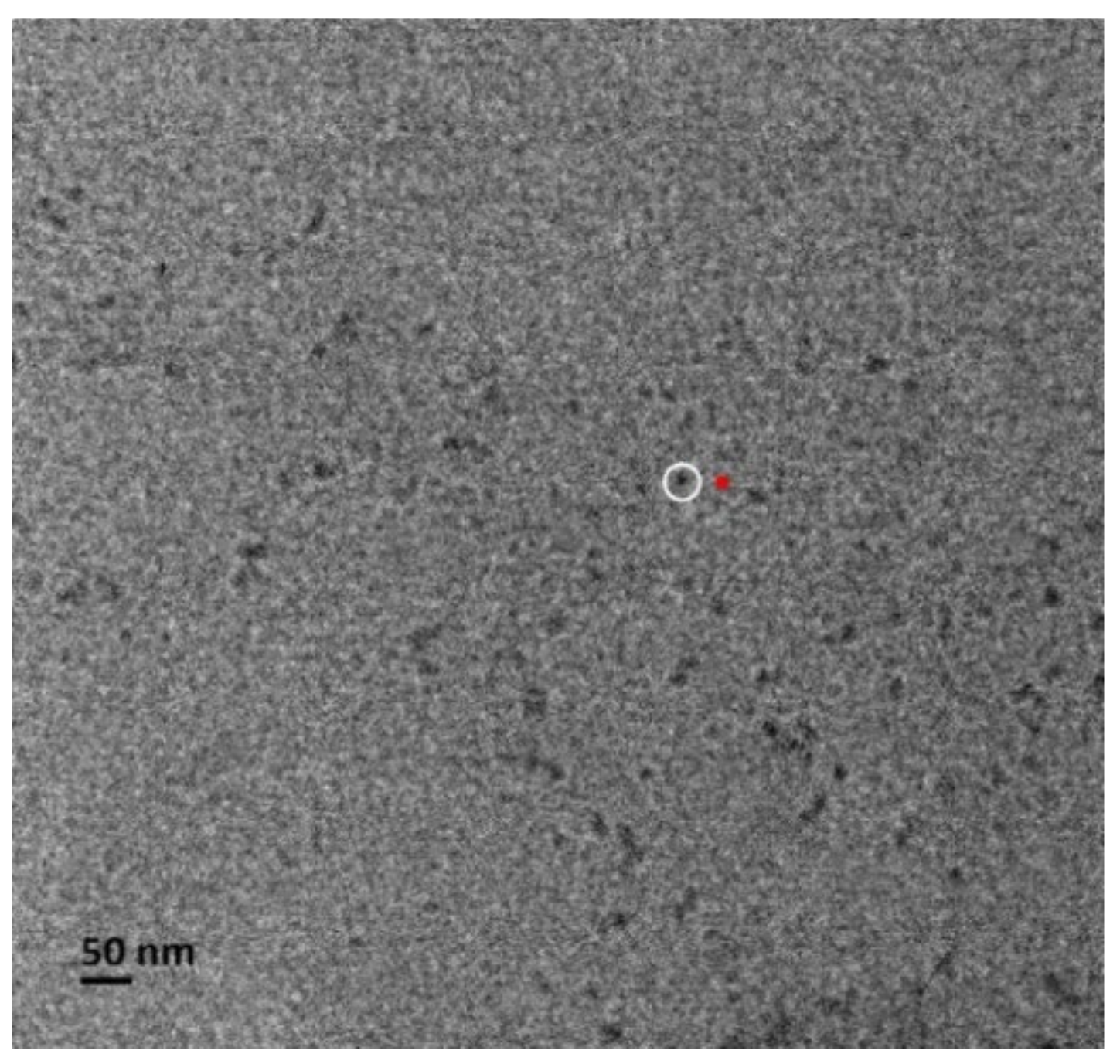 Chemosensors 10 00334 g005 550