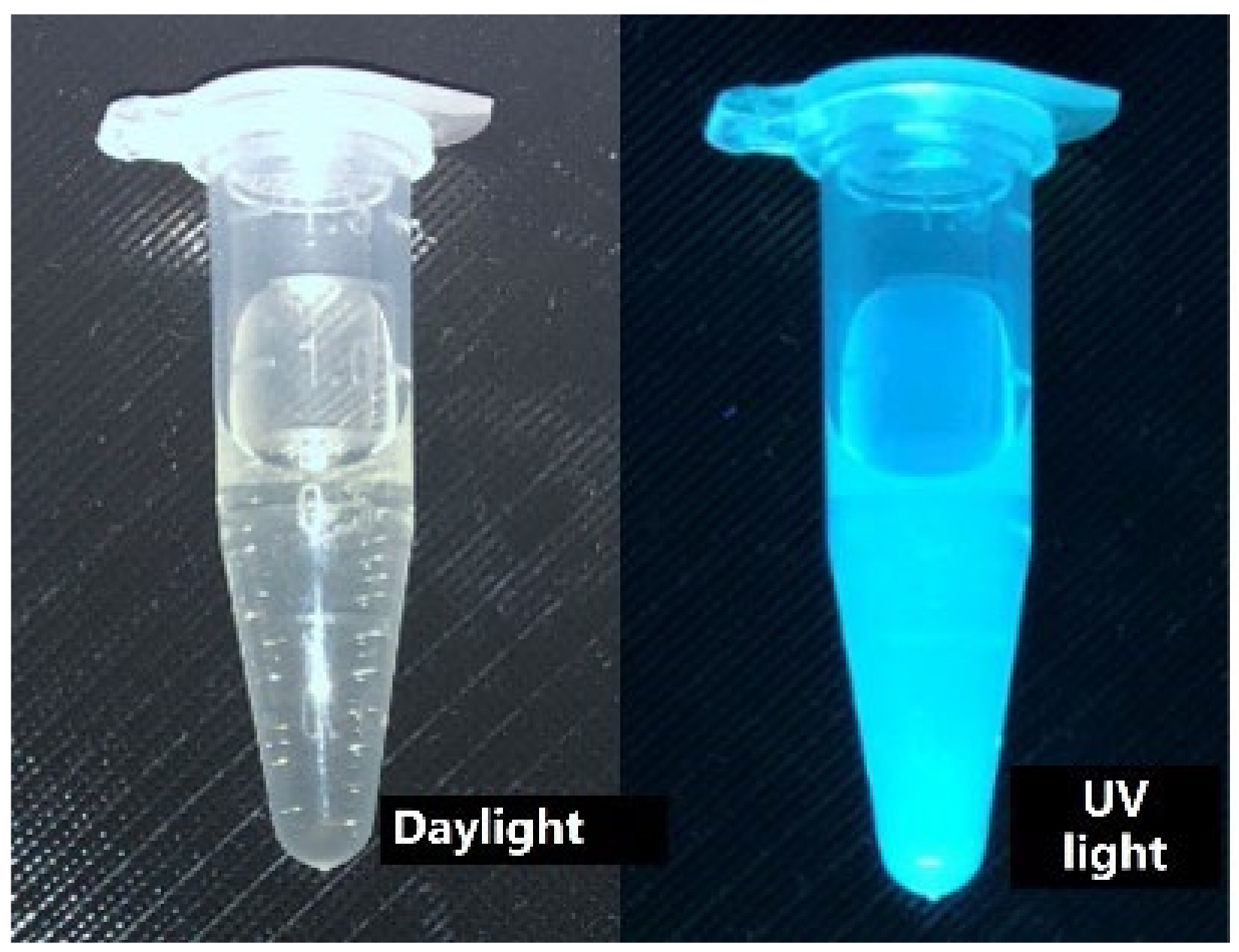 Chemosensors 10 00334 g008 550