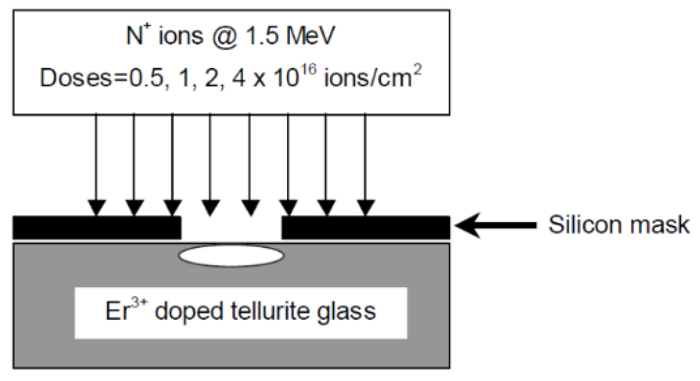 Chemosensors 10 00337 g001