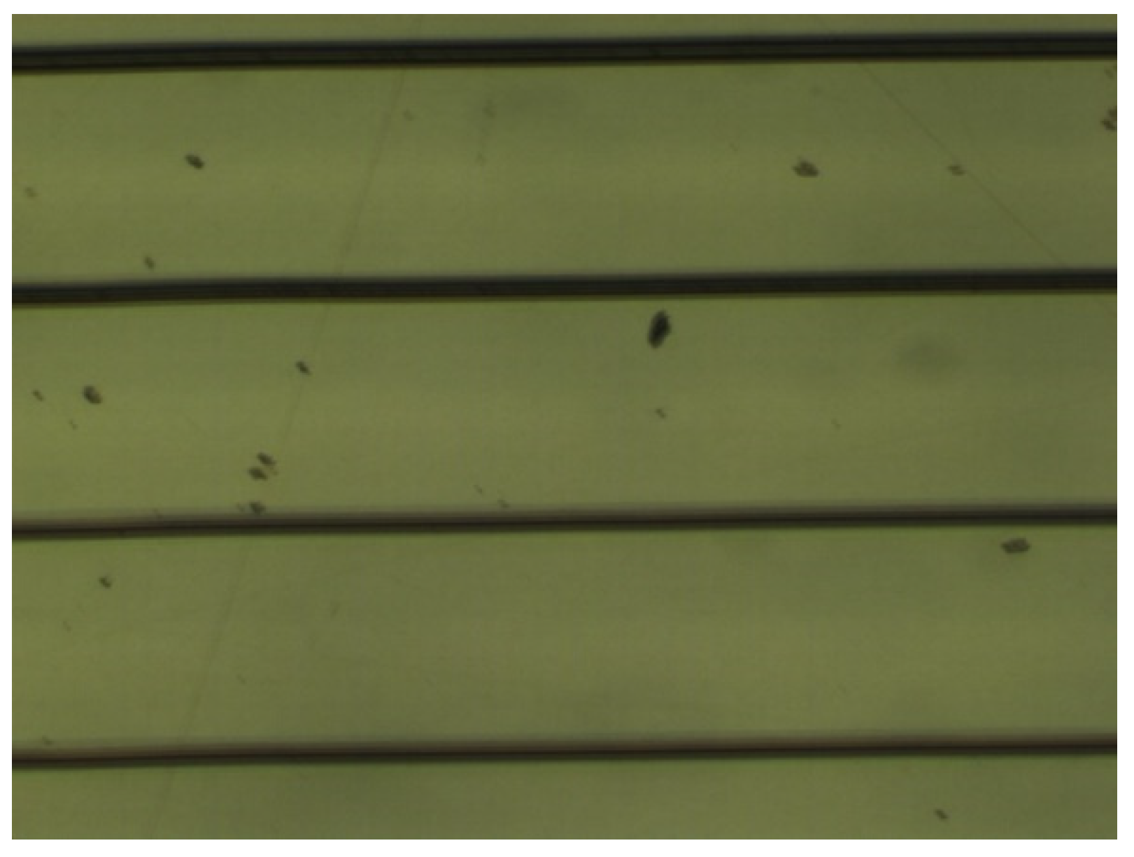 Chemosensors 10 00337 g005