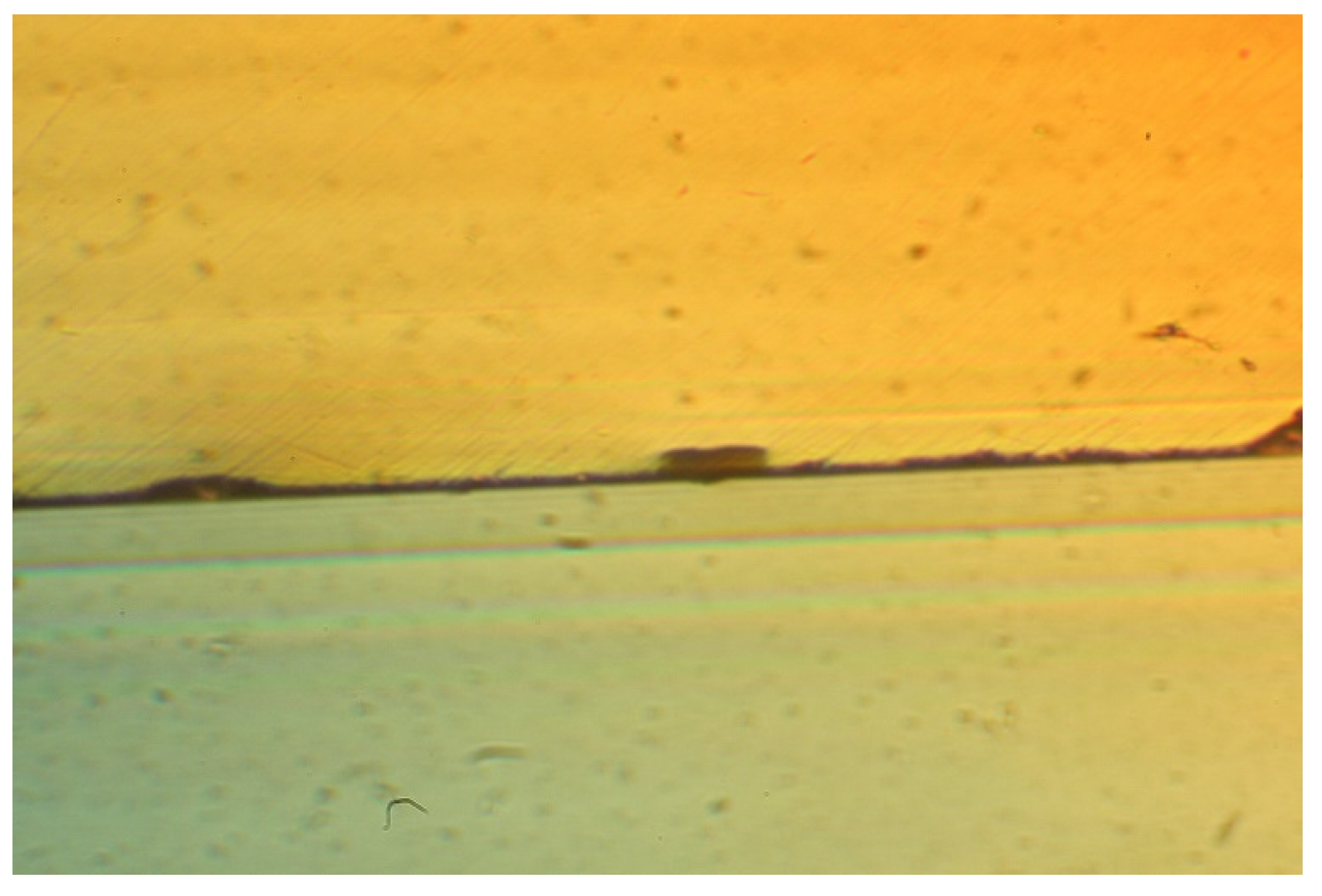 Chemosensors 10 00337 g007