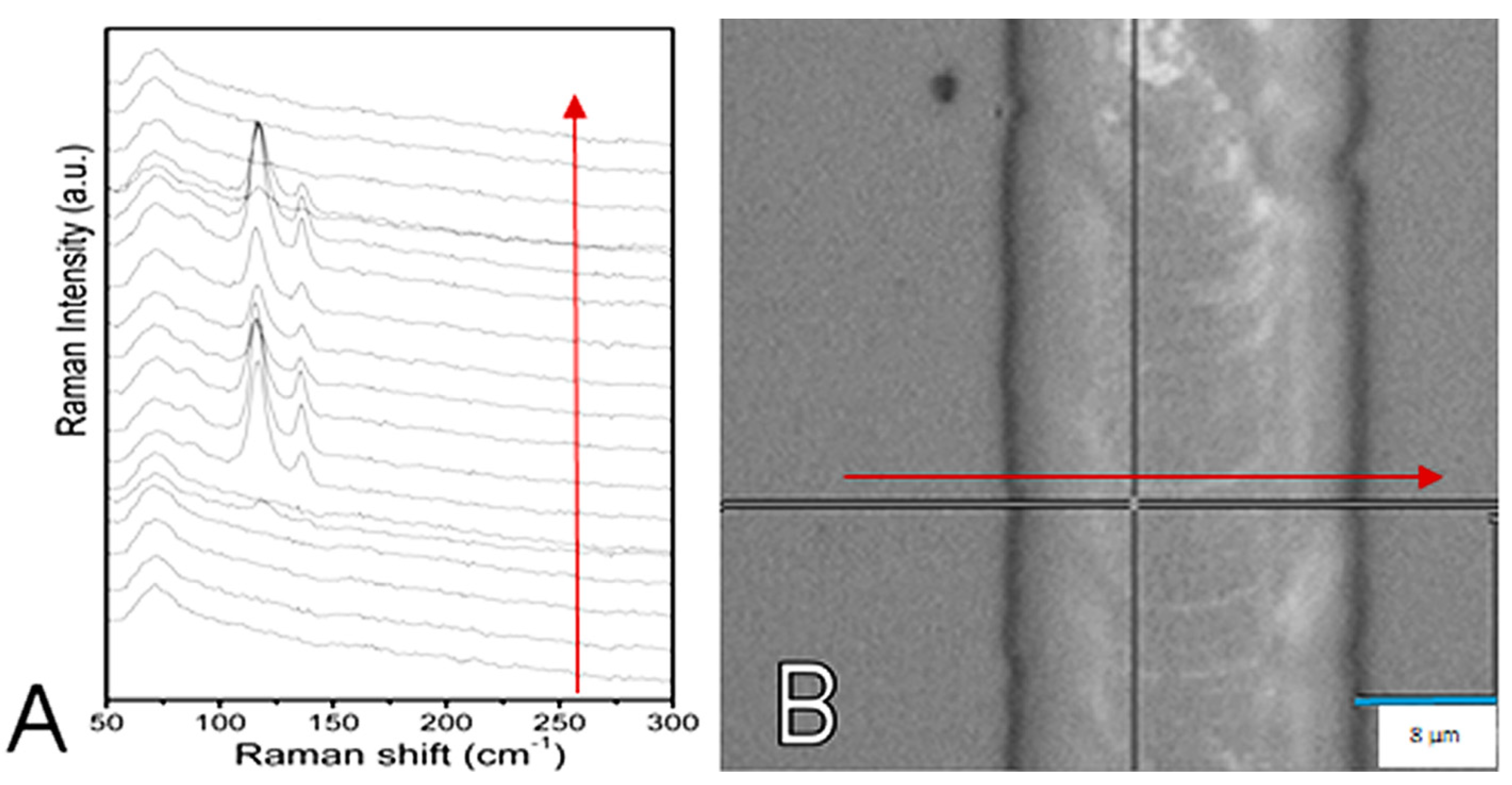 Chemosensors 10 00337 g013