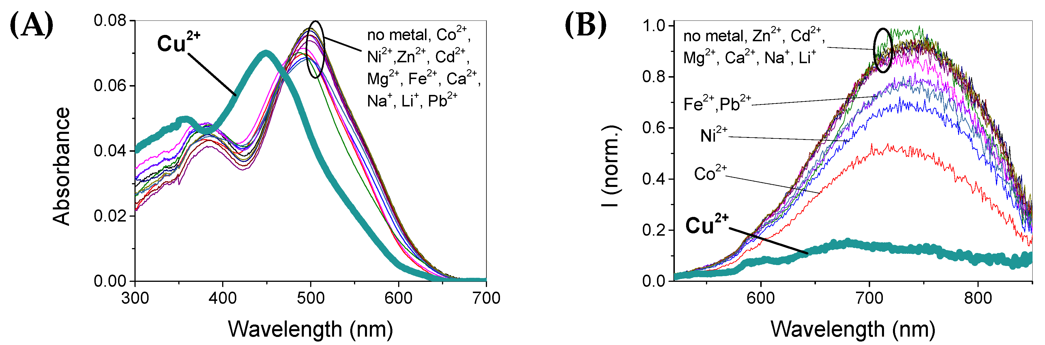Chemosensors 10 00343 g003 550